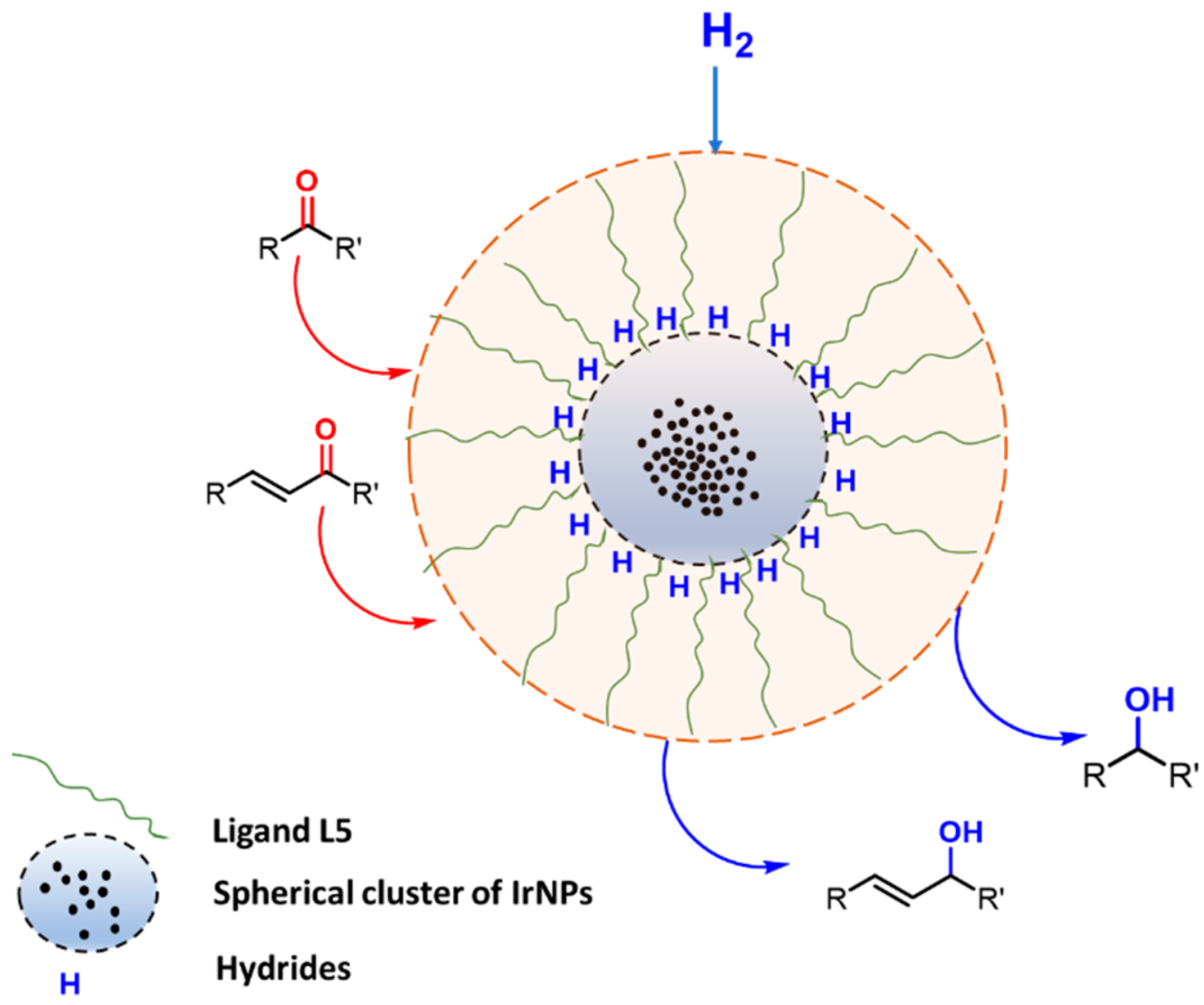 Catalysts 11 00914 g004 550