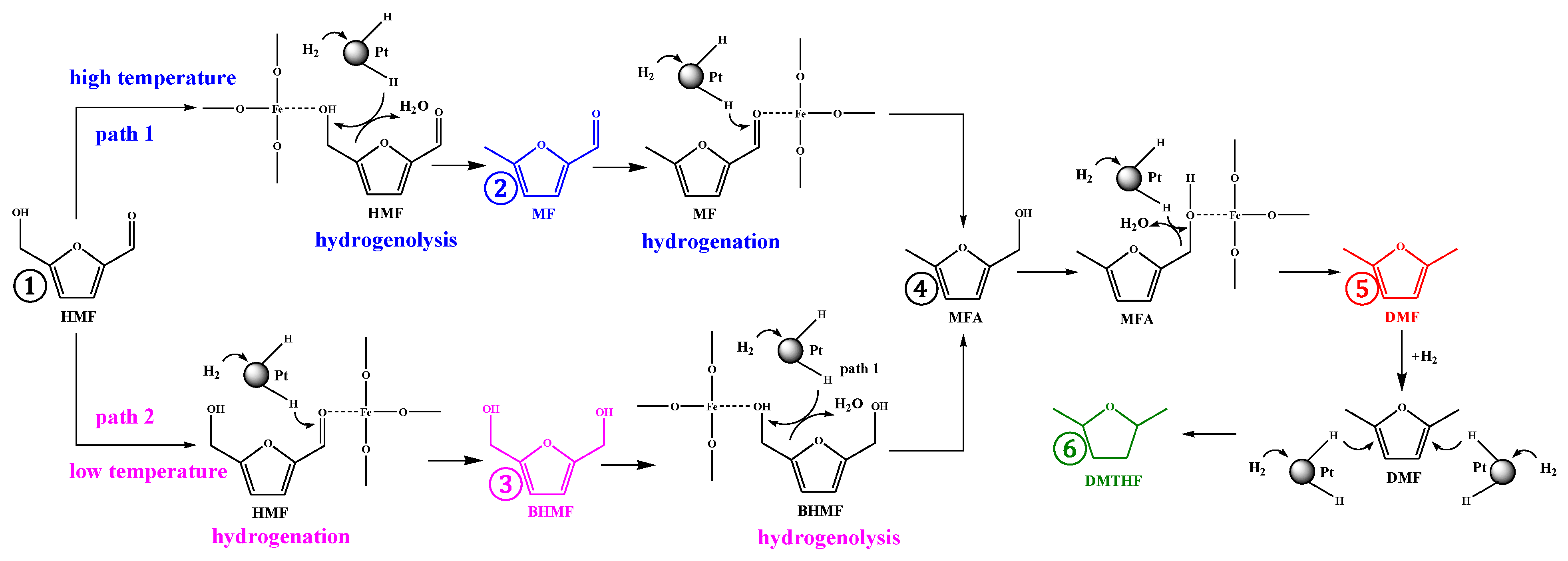 Catalysts 11 00915 sch001 550