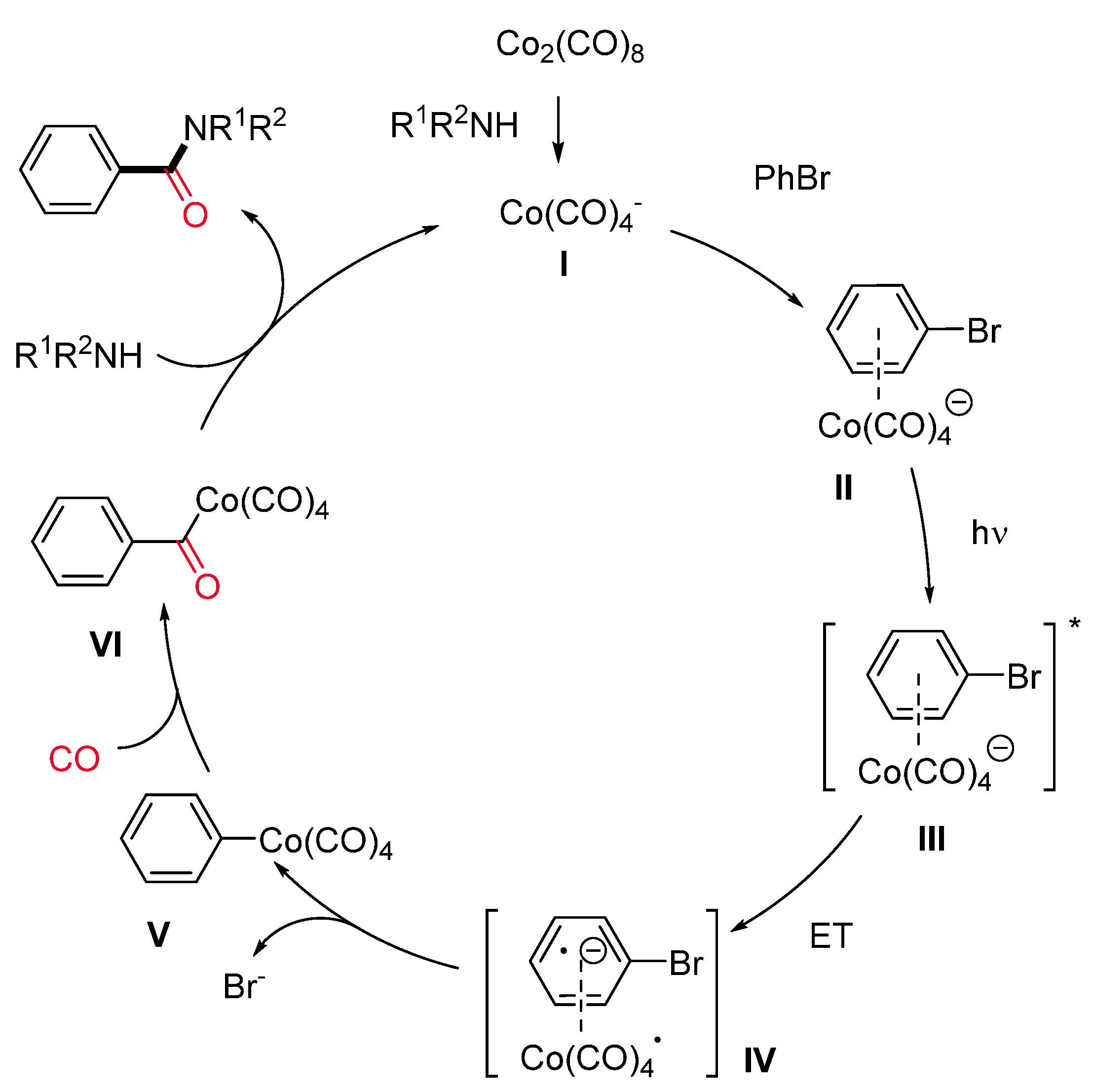 Catalysts 11 00918 sch032
