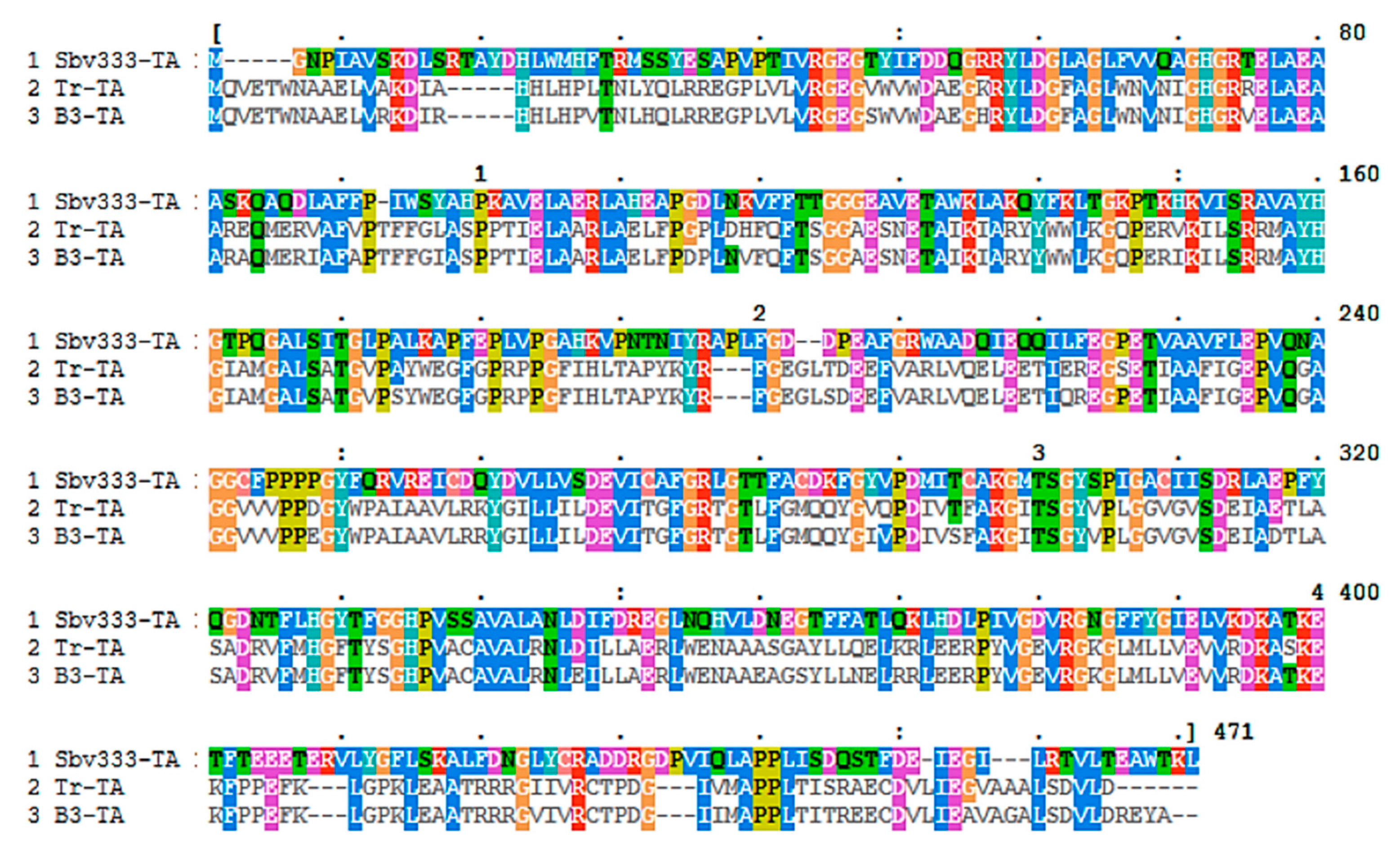Catalysts 11 00919 g003