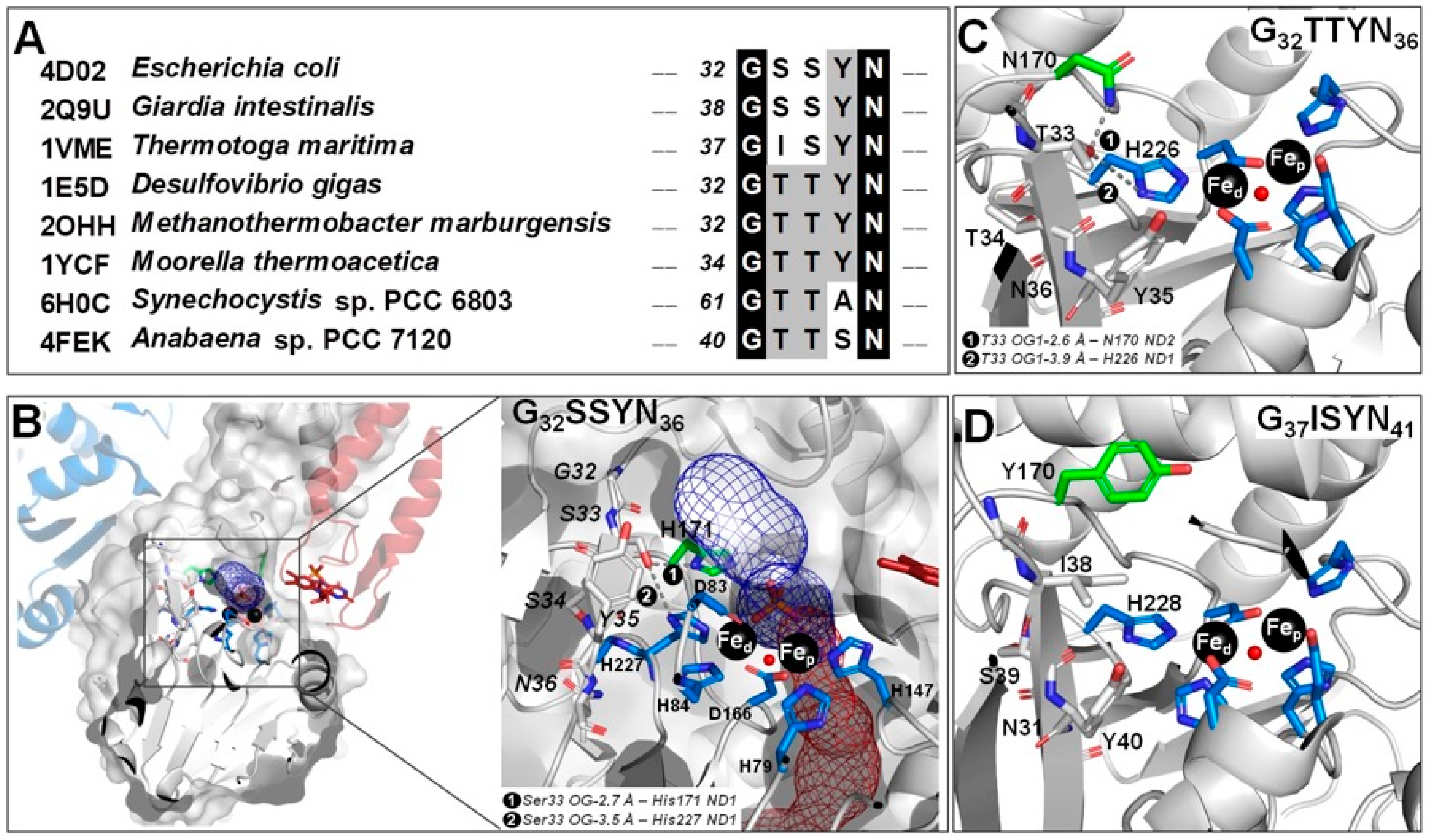 Catalysts 11 00926 g001 550