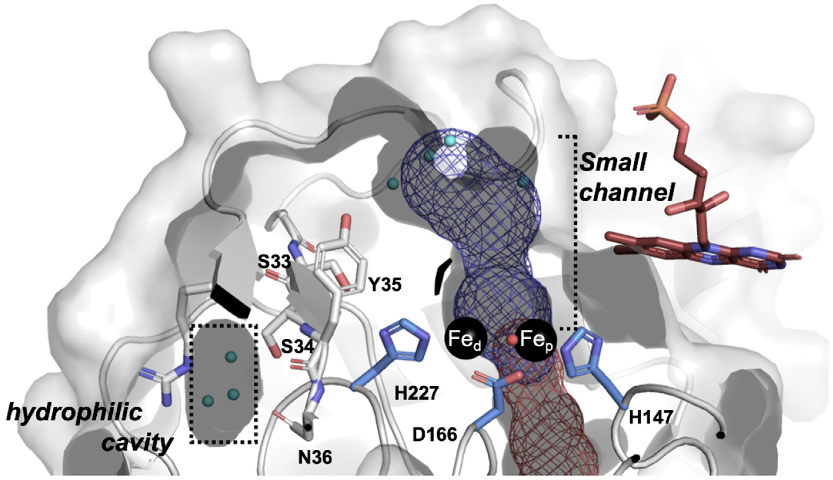 Catalysts 11 00926 g002 550