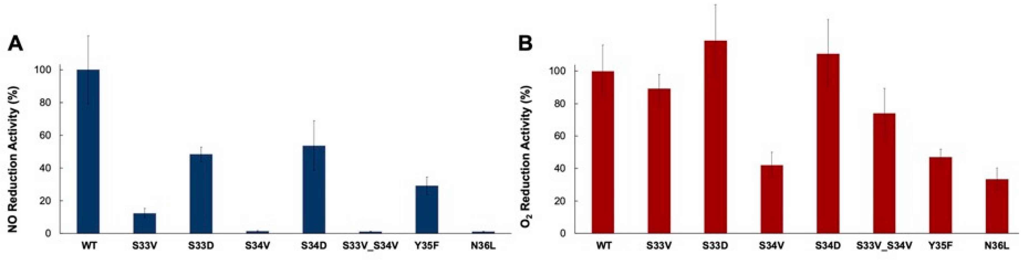 Catalysts 11 00926 g004 550