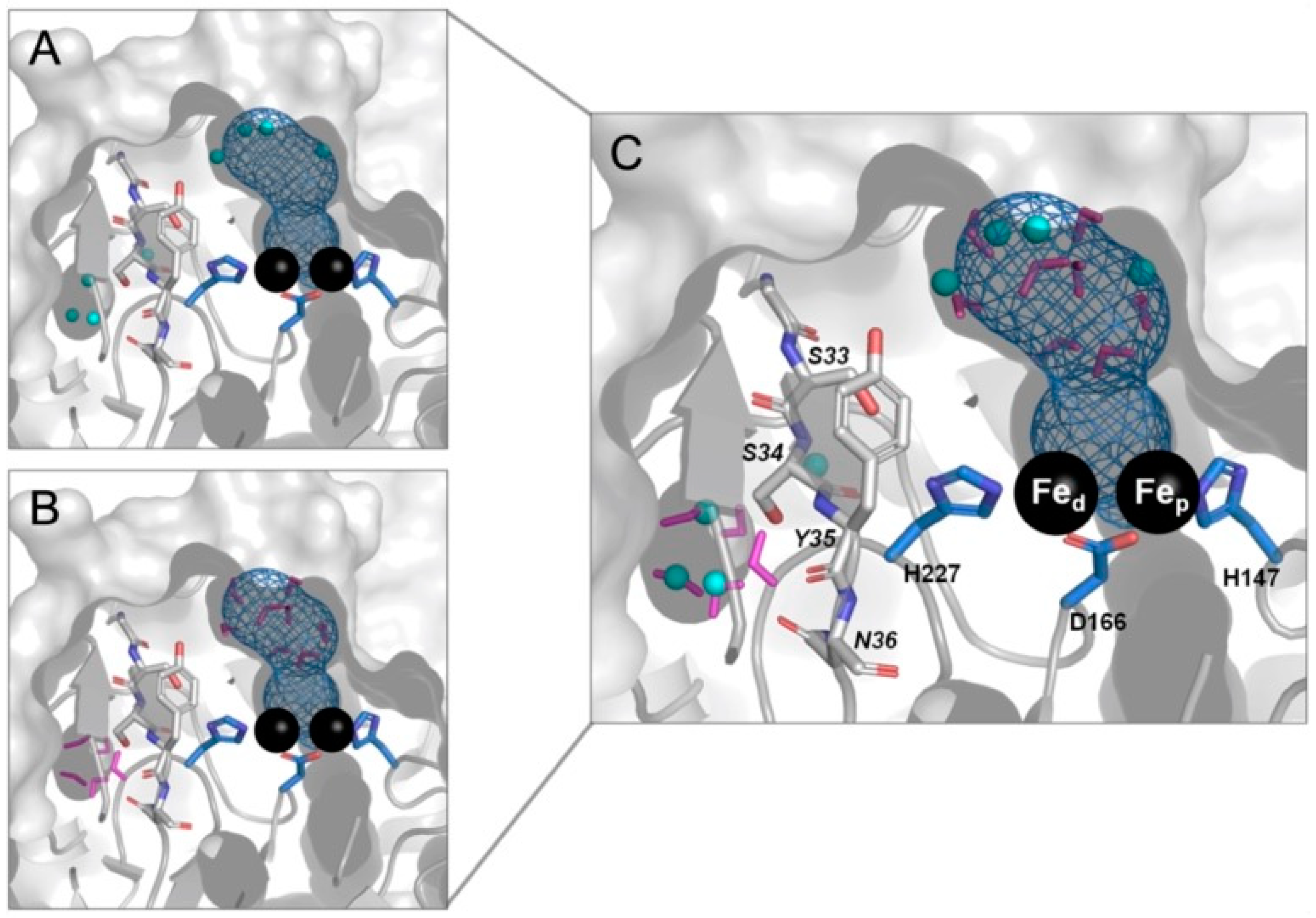 Catalysts 11 00926 g006 550