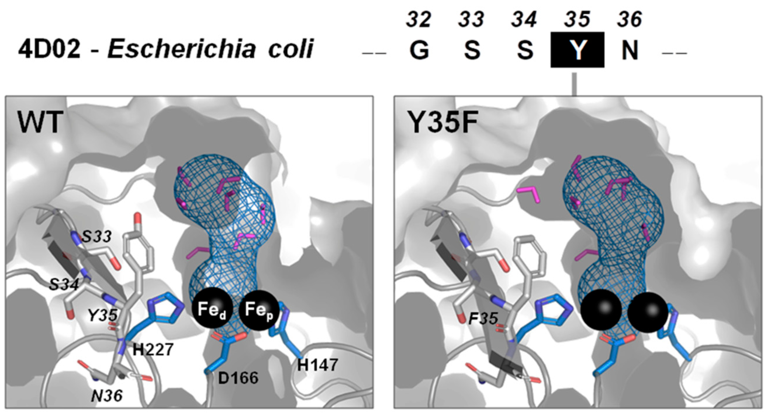 Catalysts 11 00926 g008 550