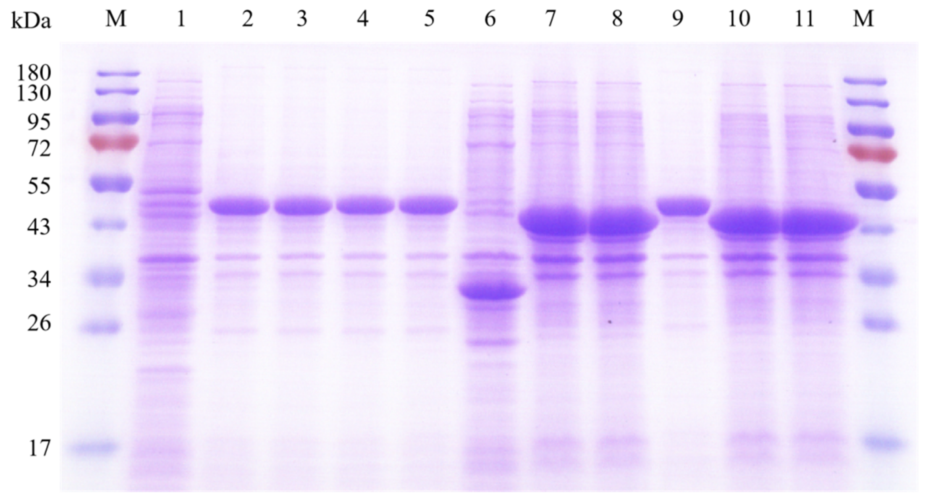 Catalysts 11 00931 g001 550