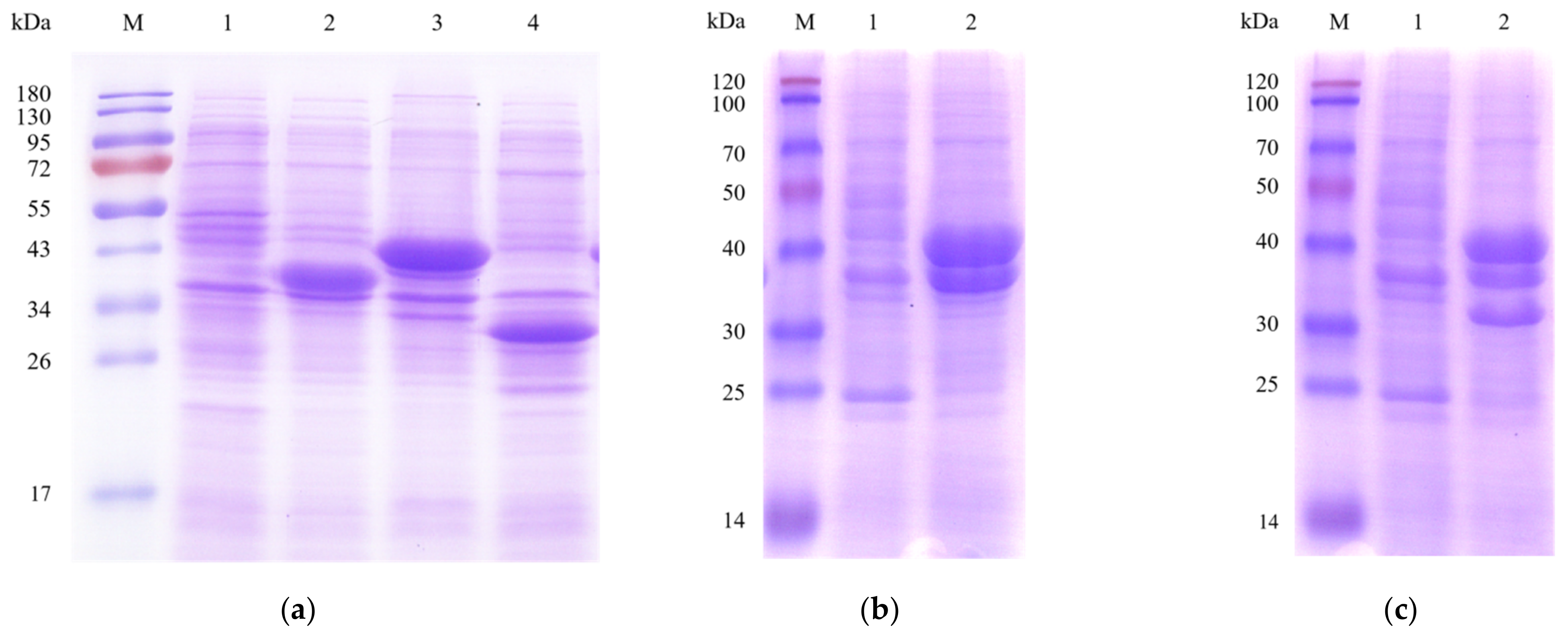 Catalysts 11 00931 g002 550