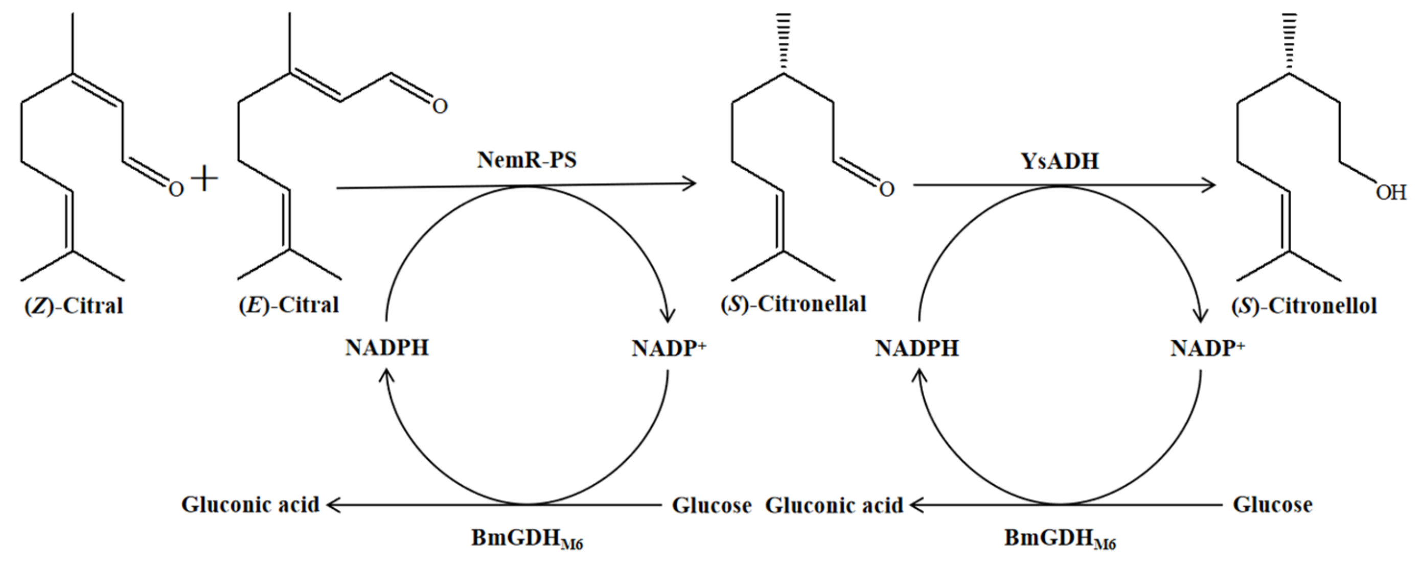 Catalysts 11 00931 sch001 550