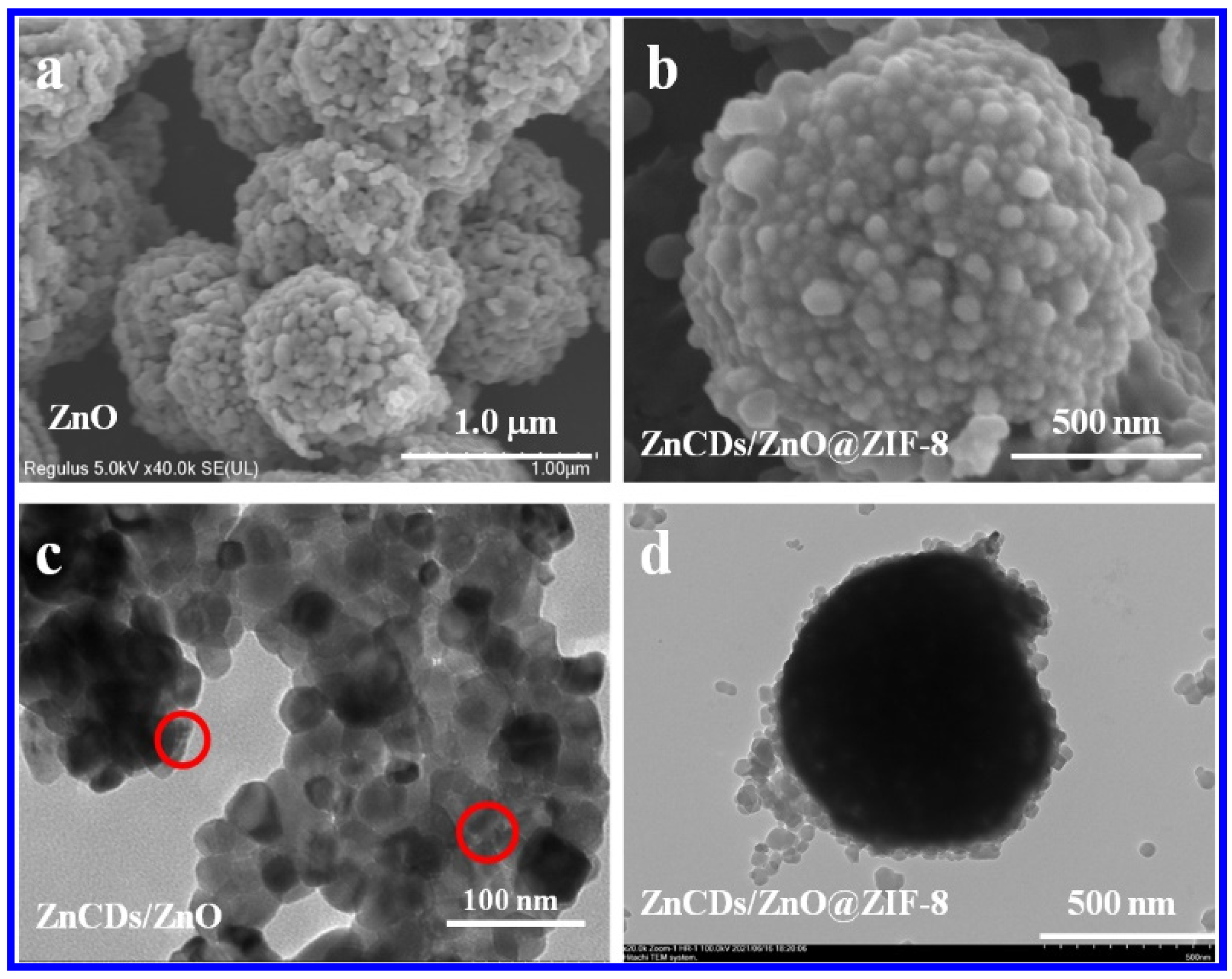 Catalysts 11 00934 g001 550