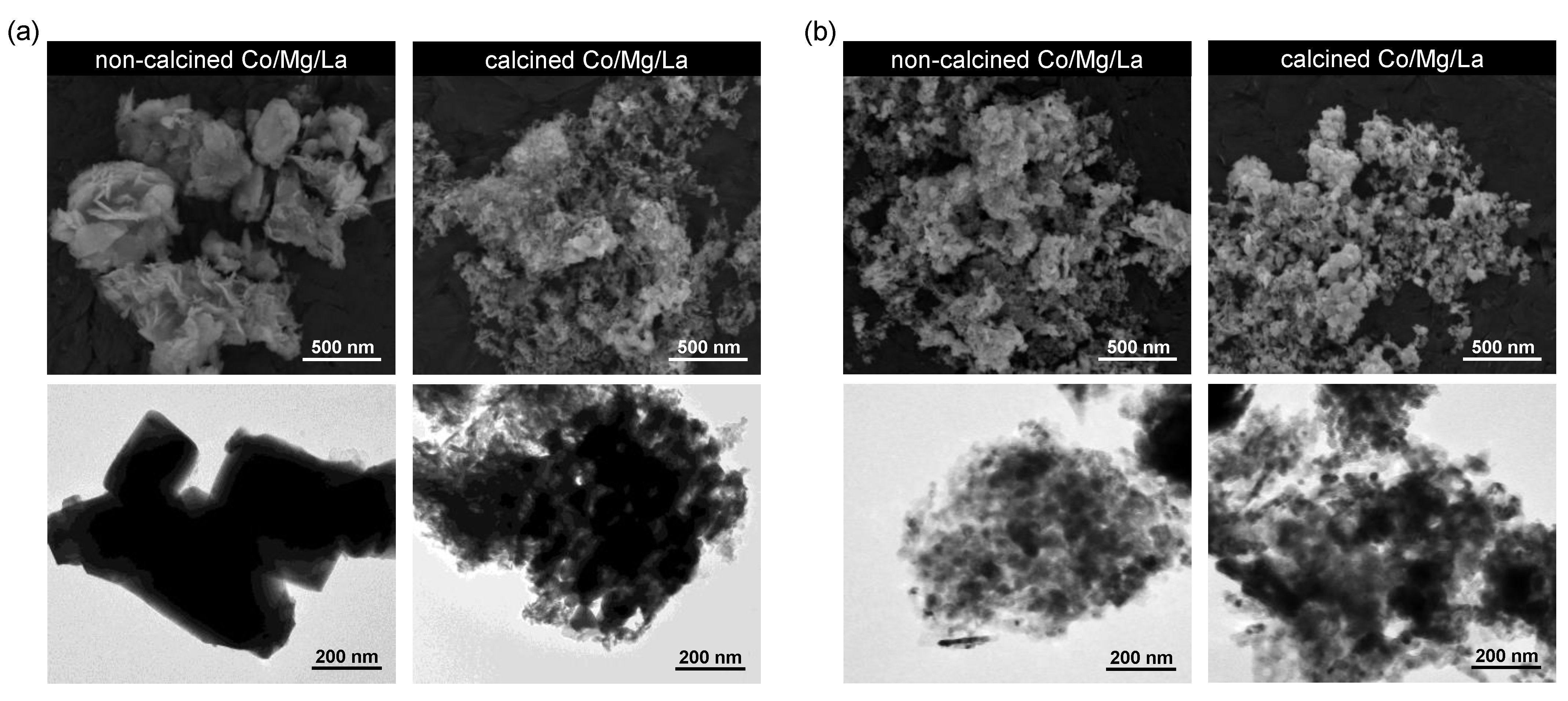 Catalysts 11 00941 g005
