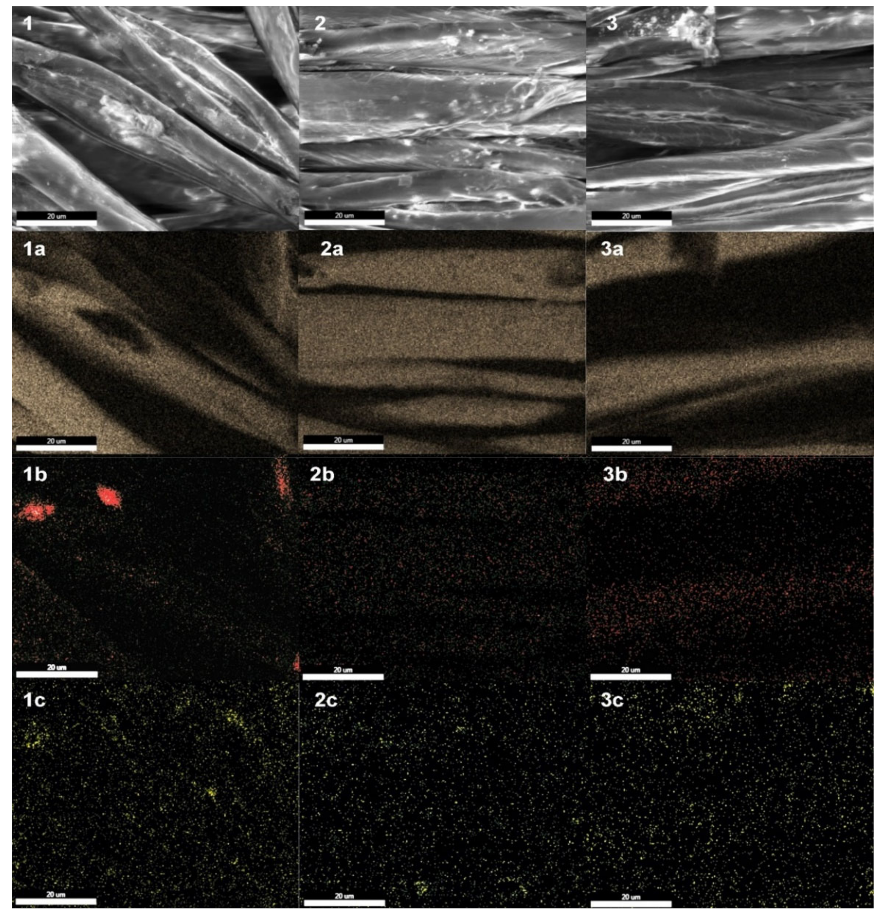 Catalysts 11 00952 g003 550