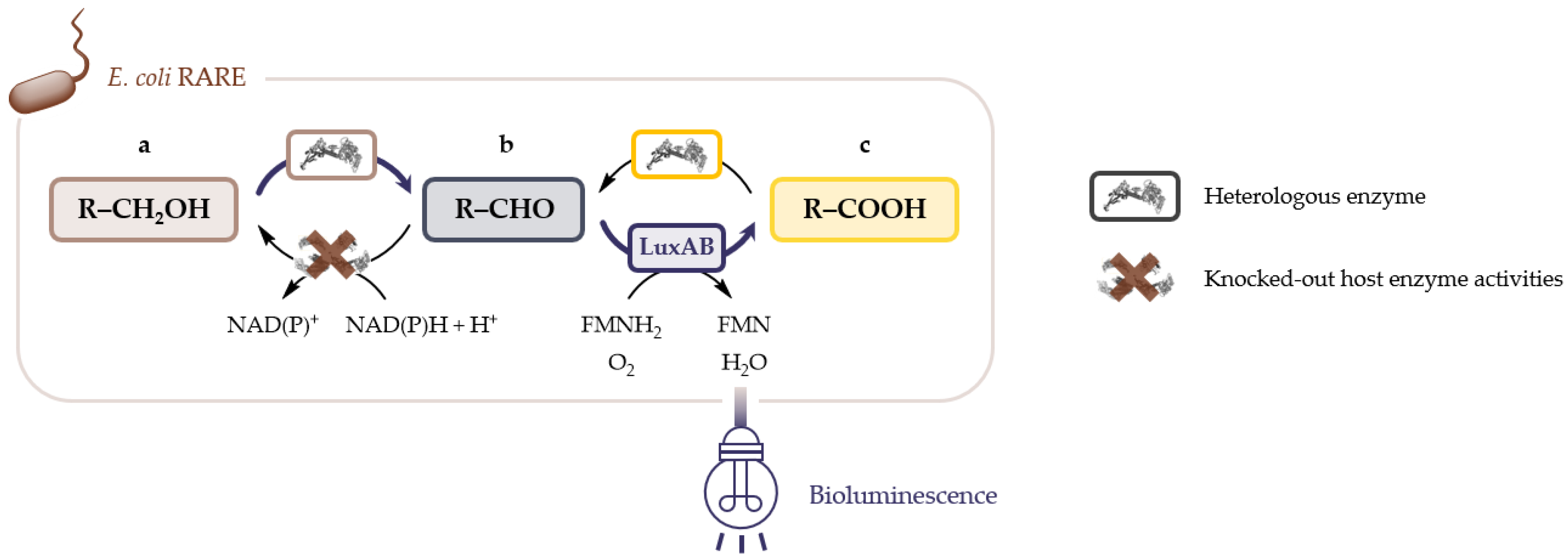 Catalysts 11 00953 g001