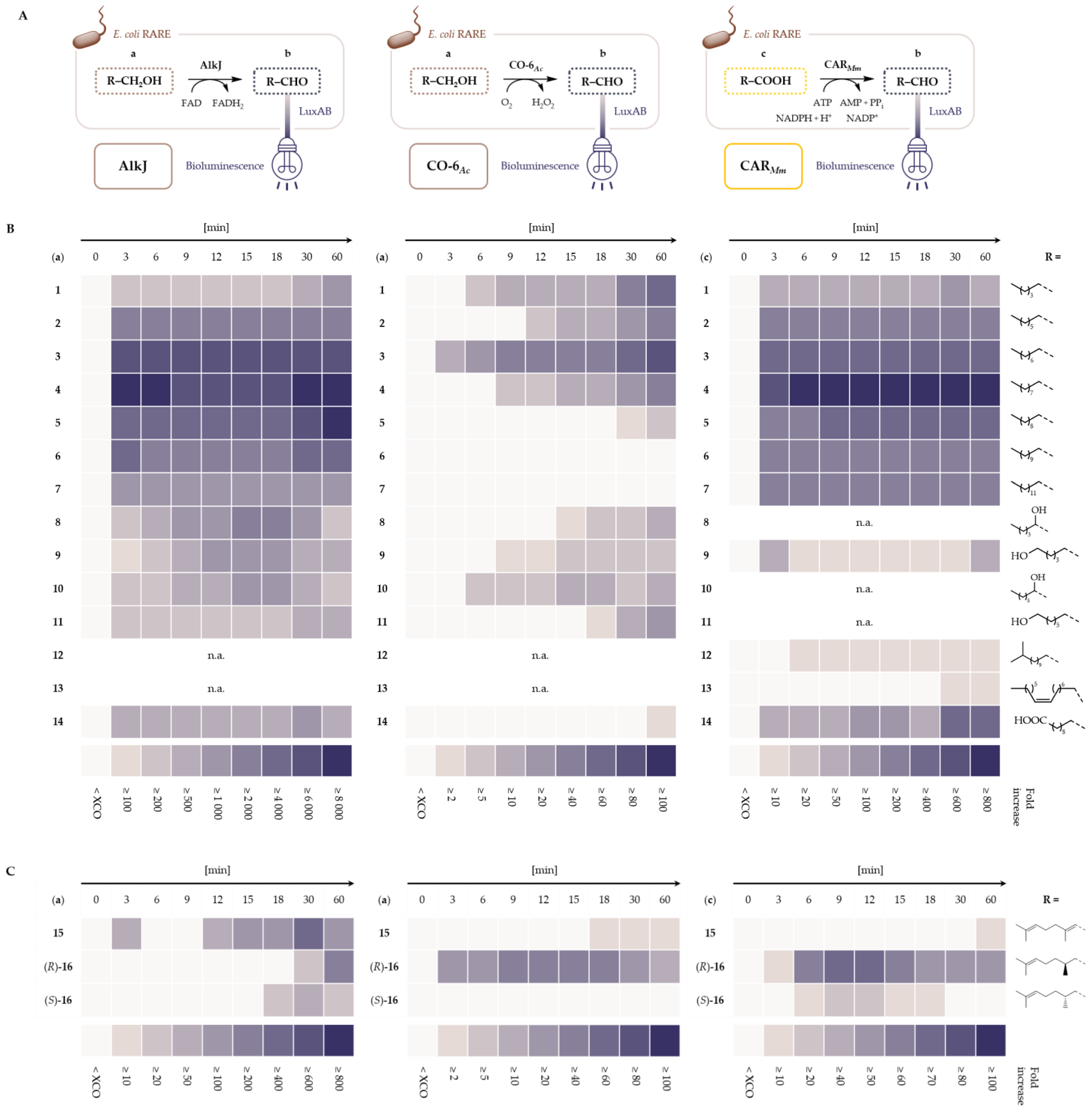 Catalysts 11 00953 g003a