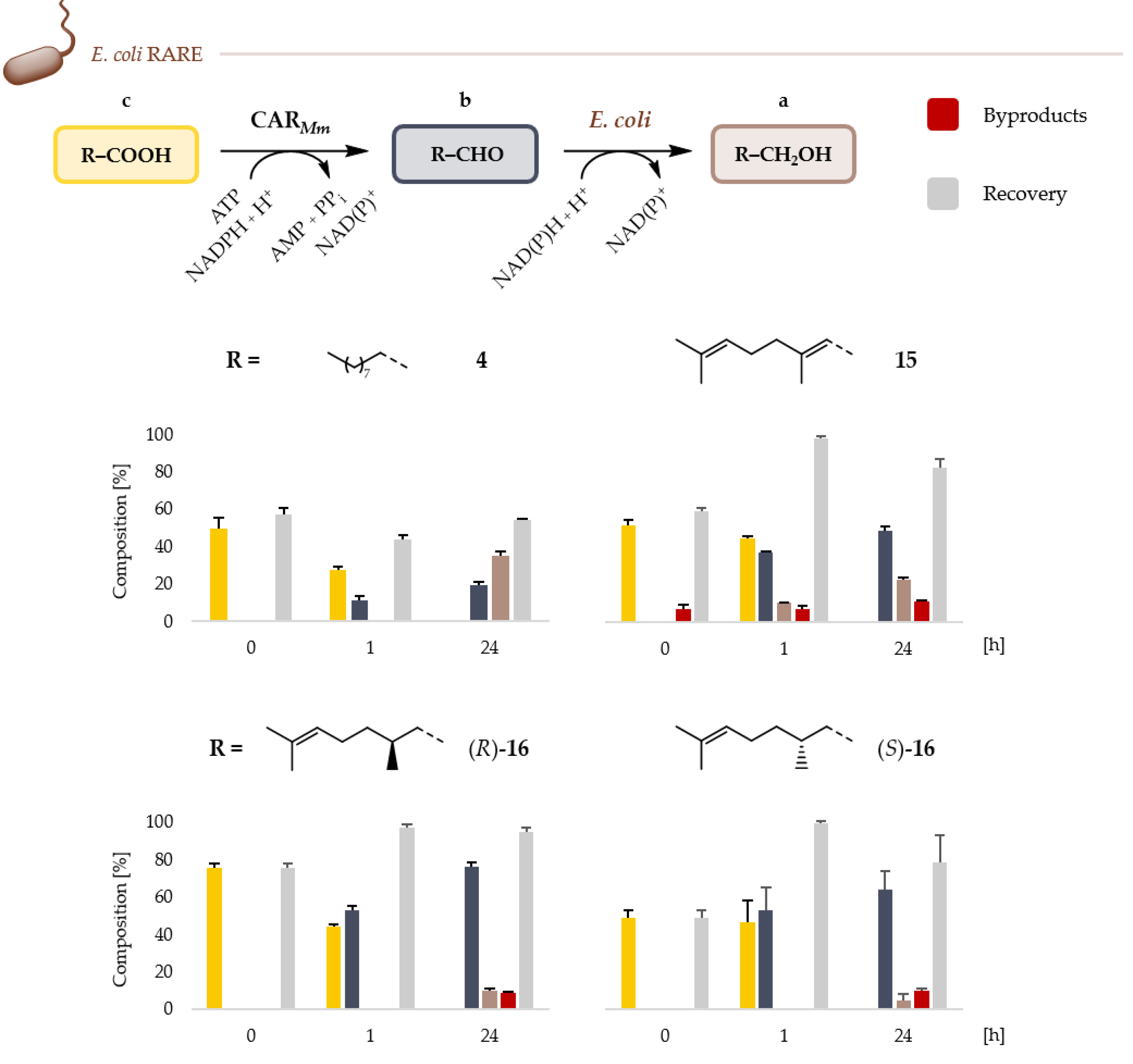 Catalysts 11 00953 g005