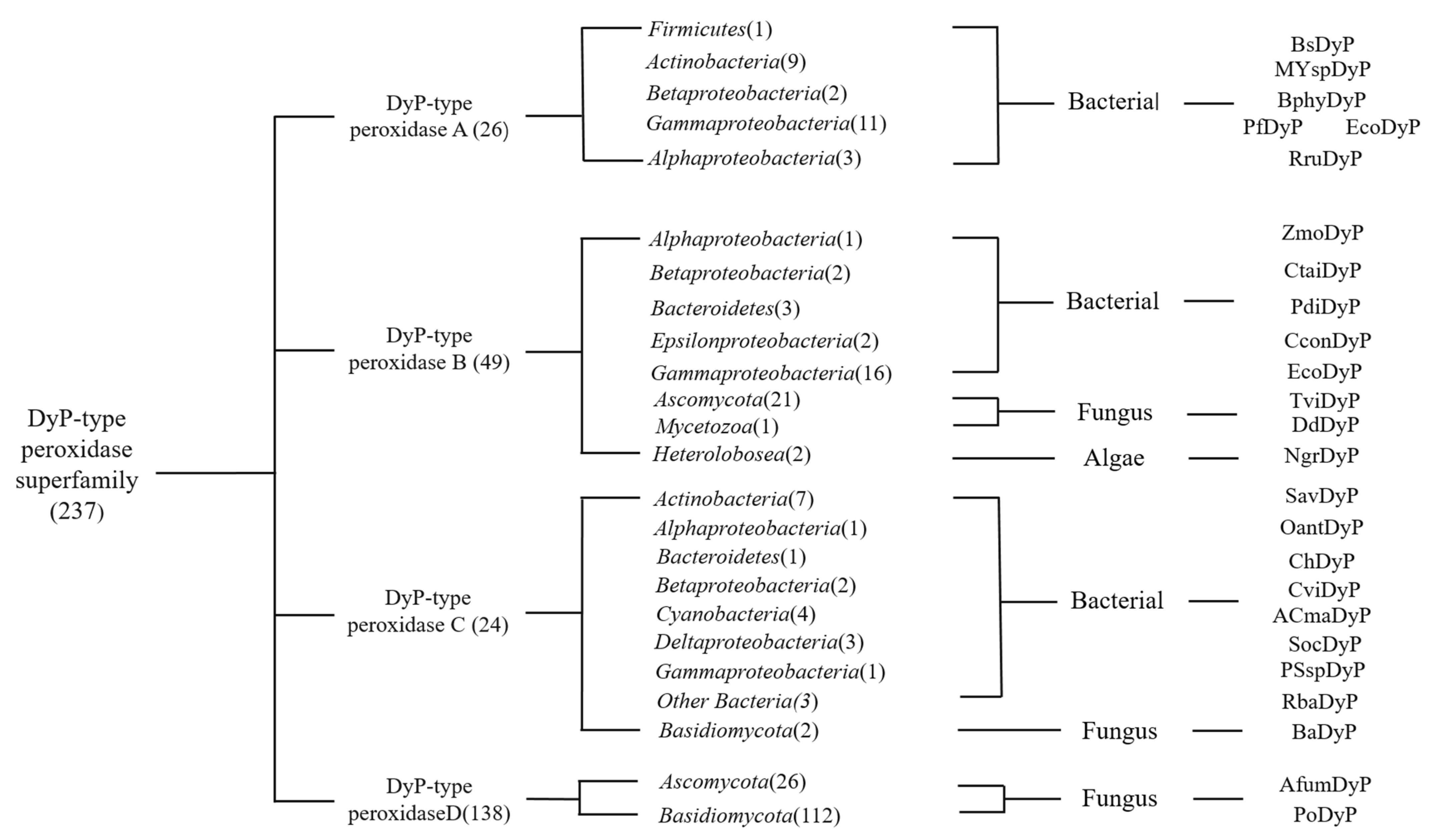 Catalysts 11 00955 g001