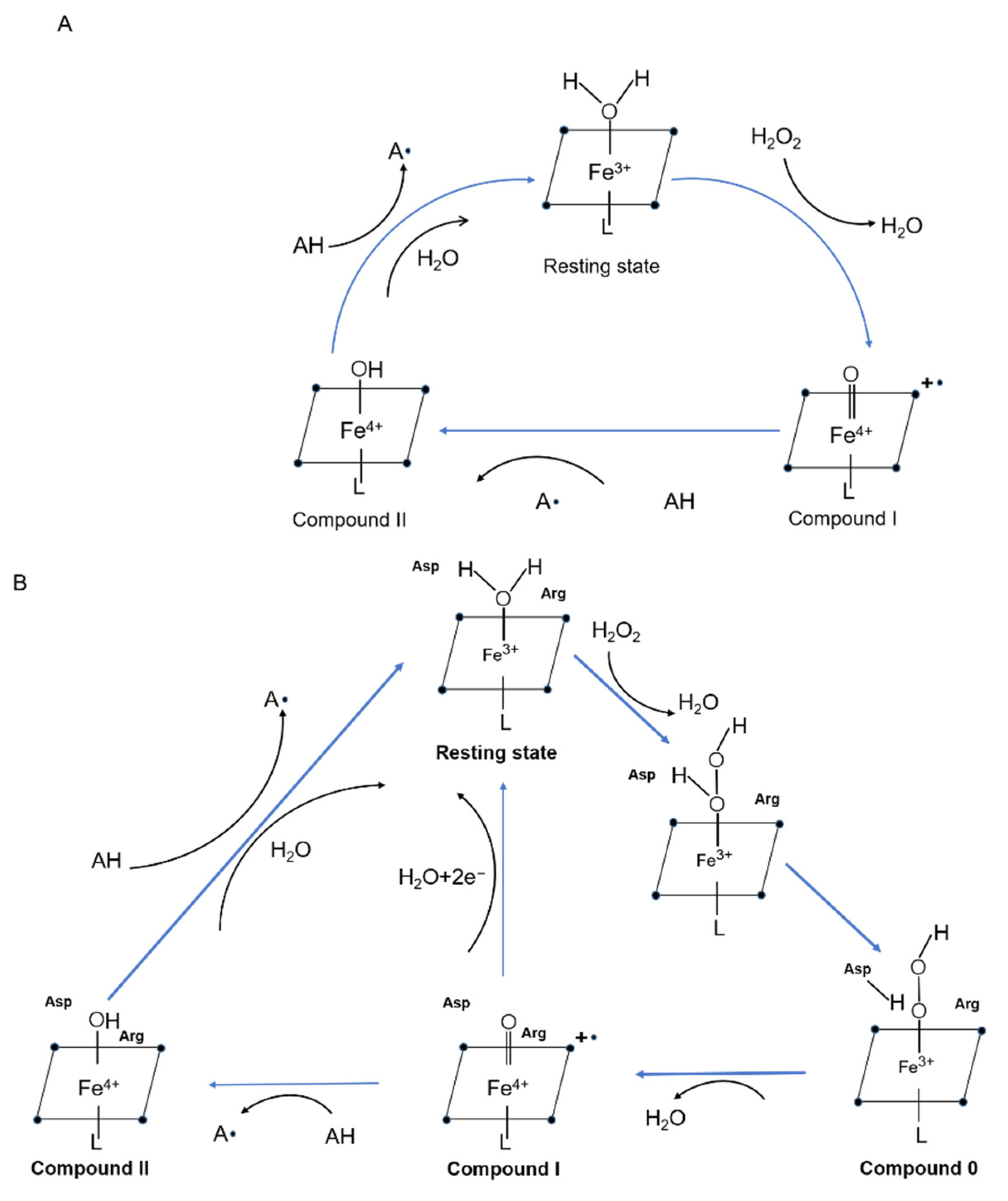 Catalysts 11 00955 g002