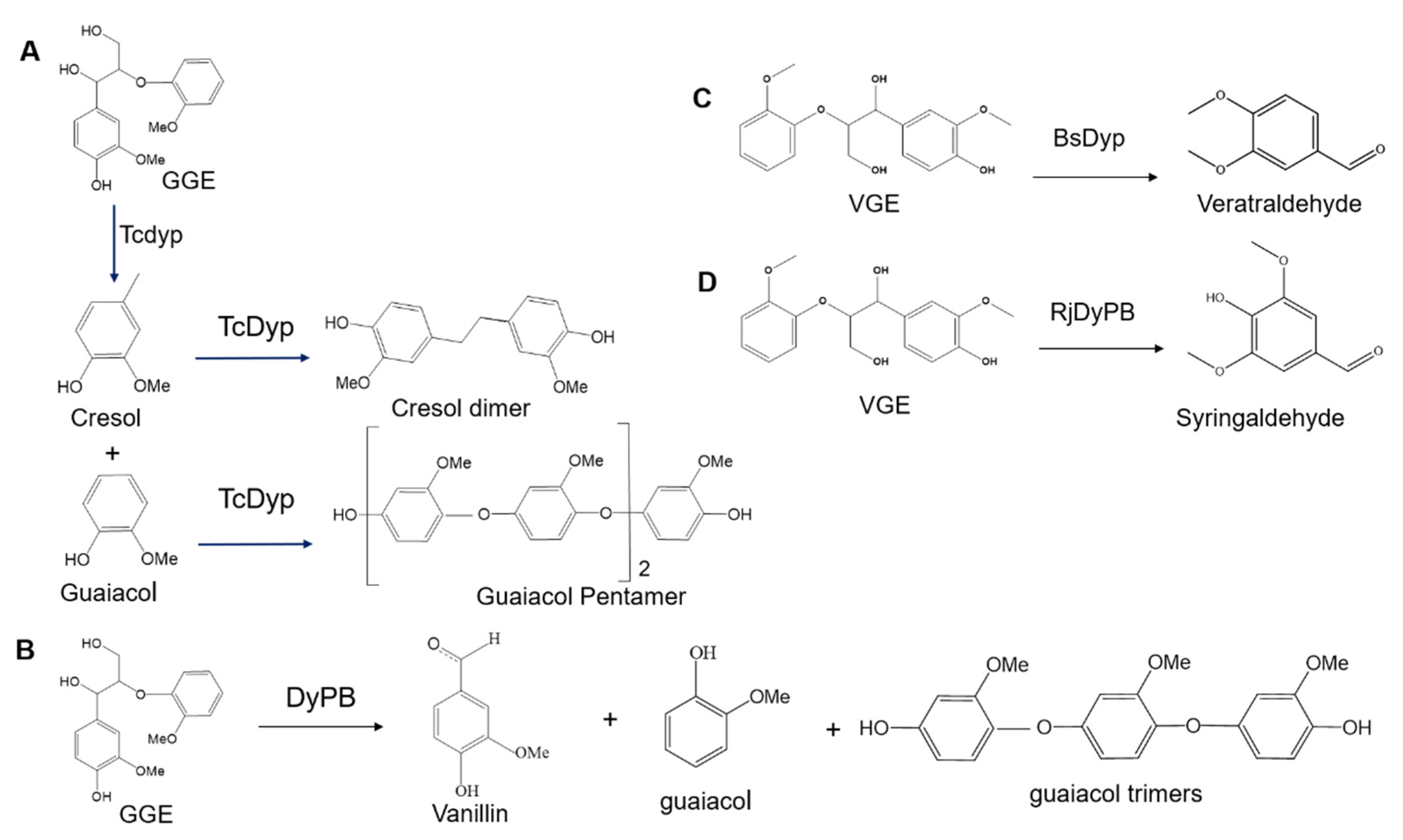 Catalysts 11 00955 g003