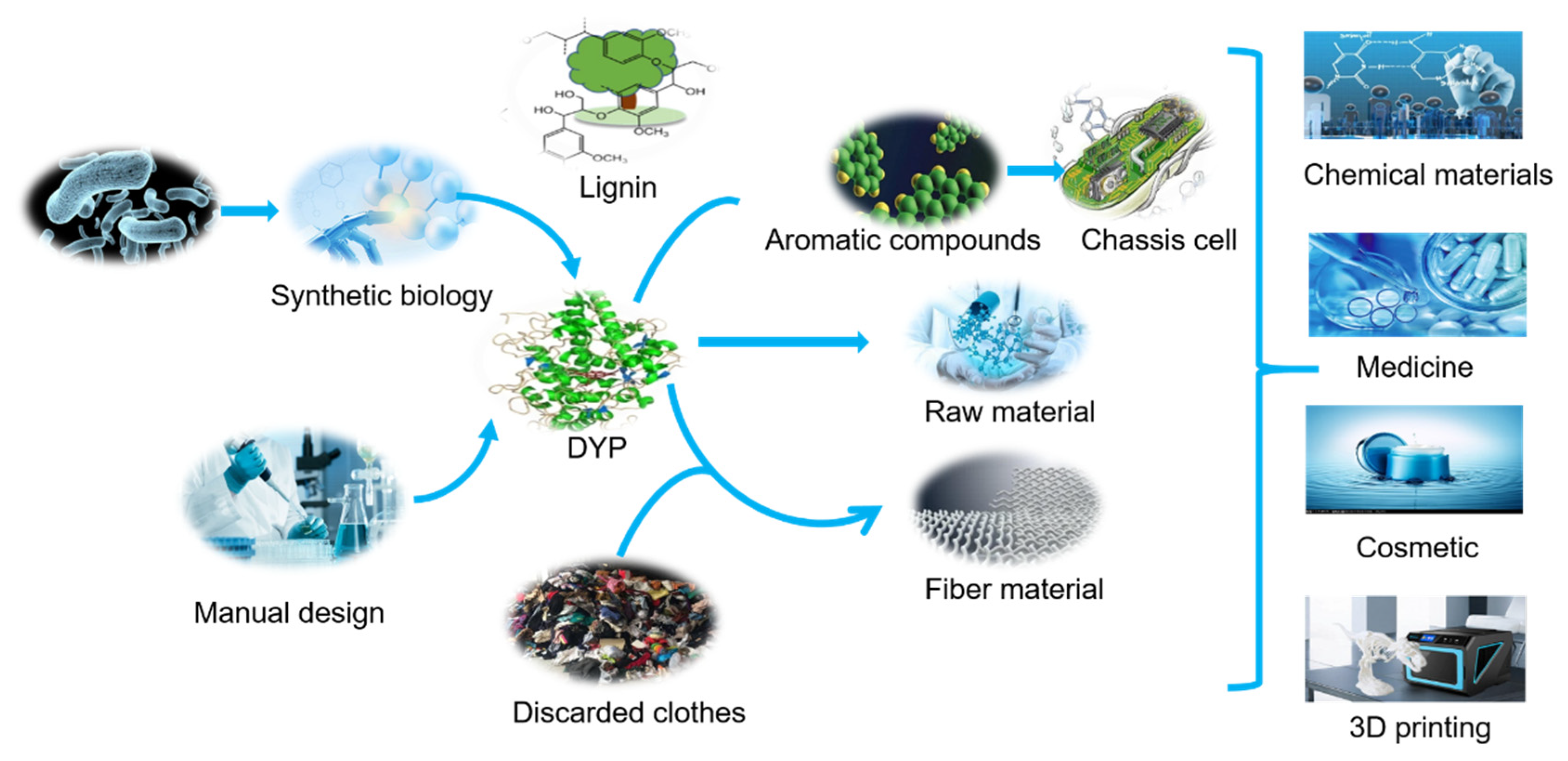 Catalysts 11 00955 g007