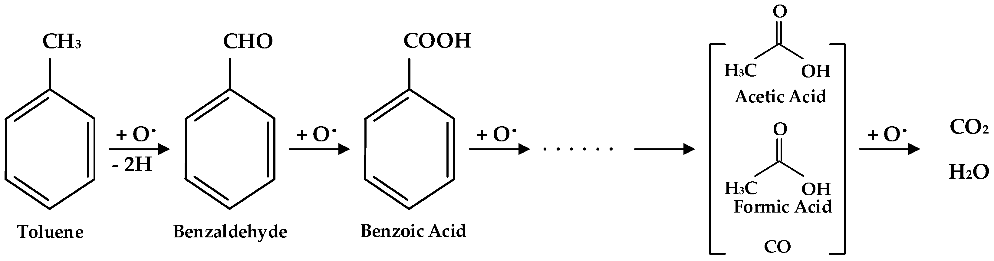 Catalysts 11 00958 g002