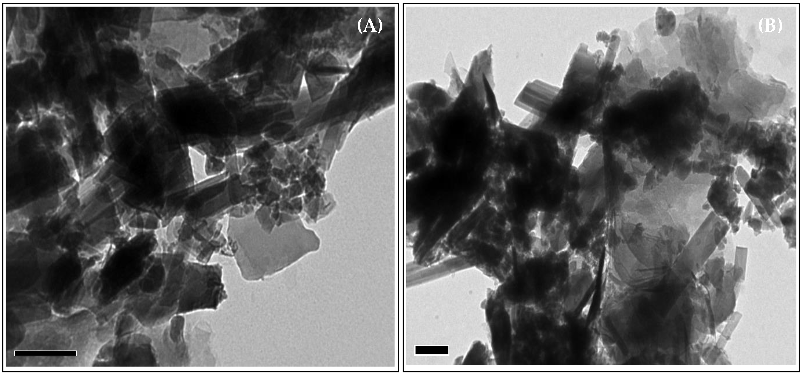 Catalysts 11 00958 g007