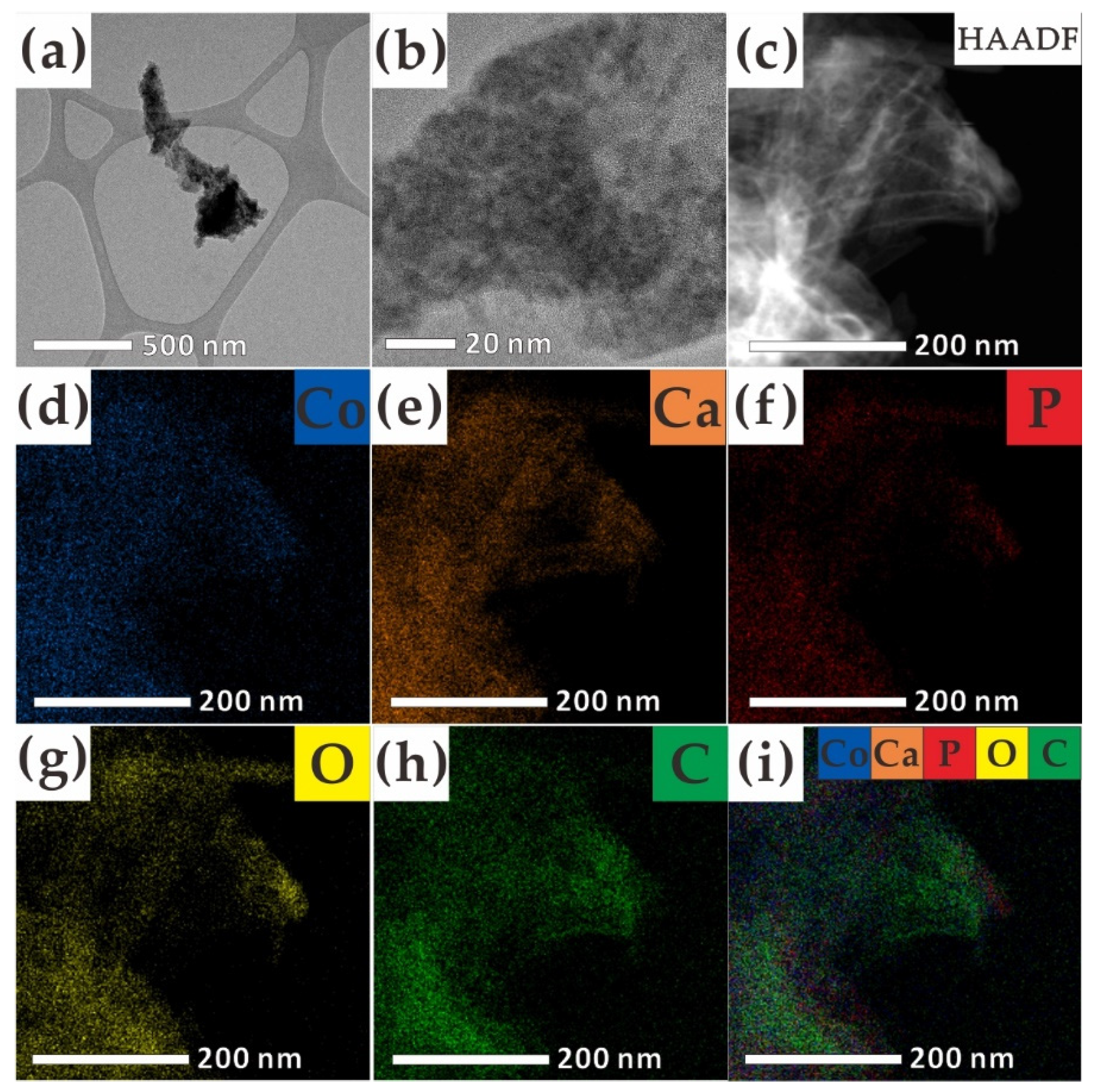 Catalysts 11 00960 g002