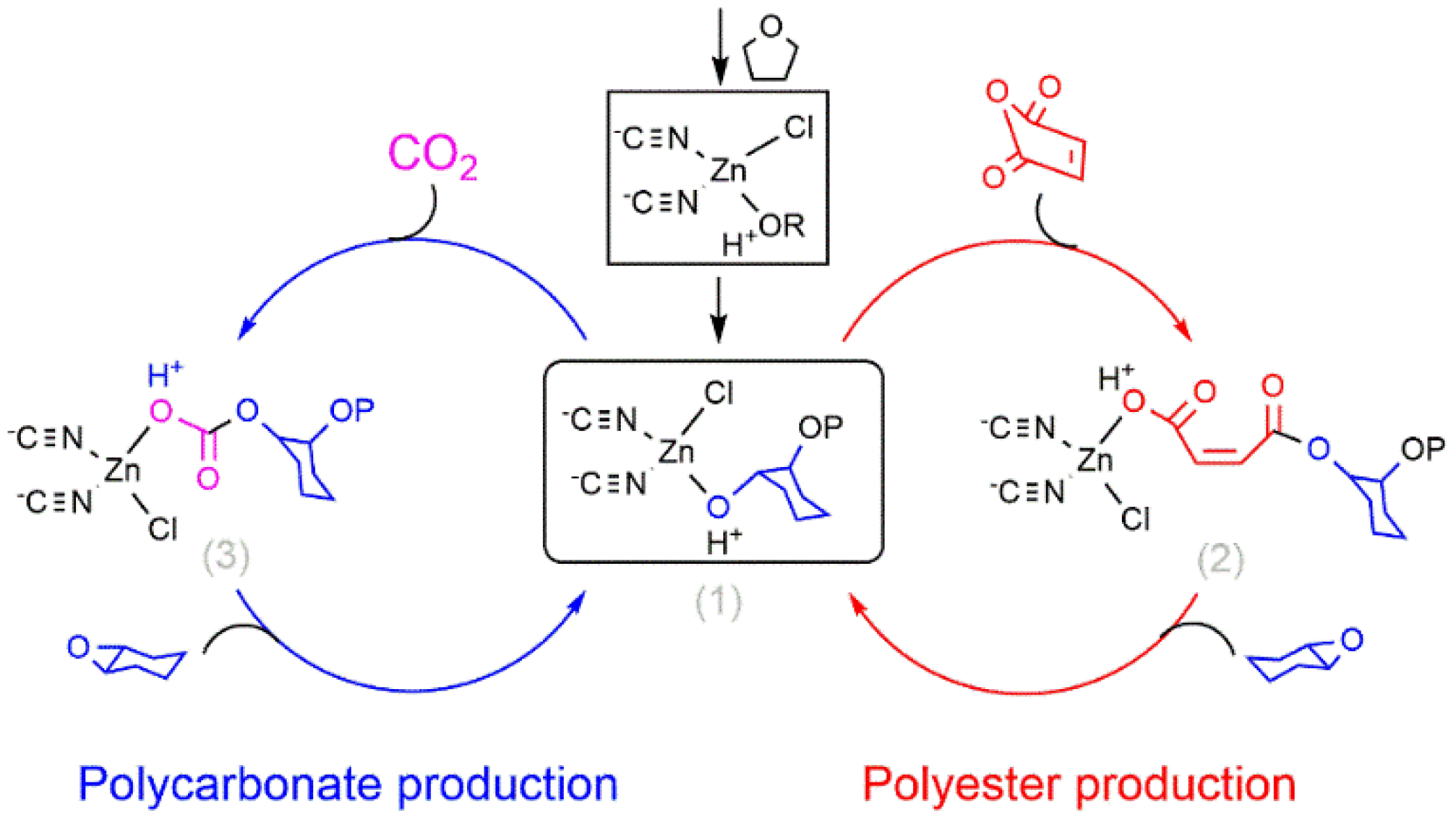 Catalysts 11 00961 sch002 550