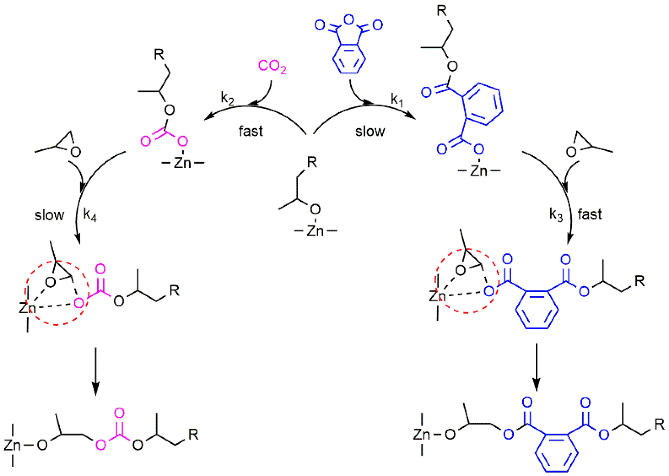 Catalysts 11 00961 sch003 550