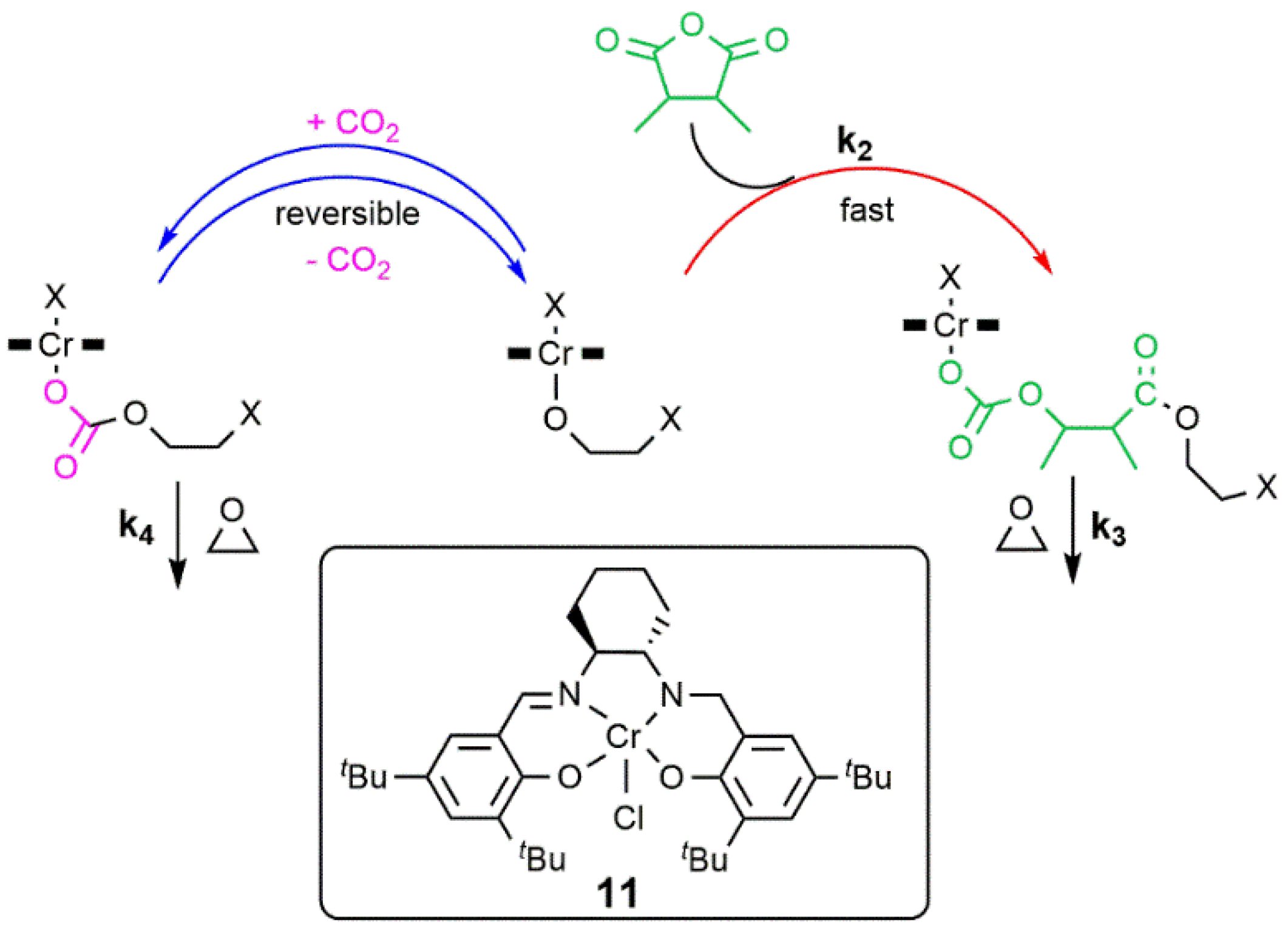 Catalysts 11 00961 sch004 550