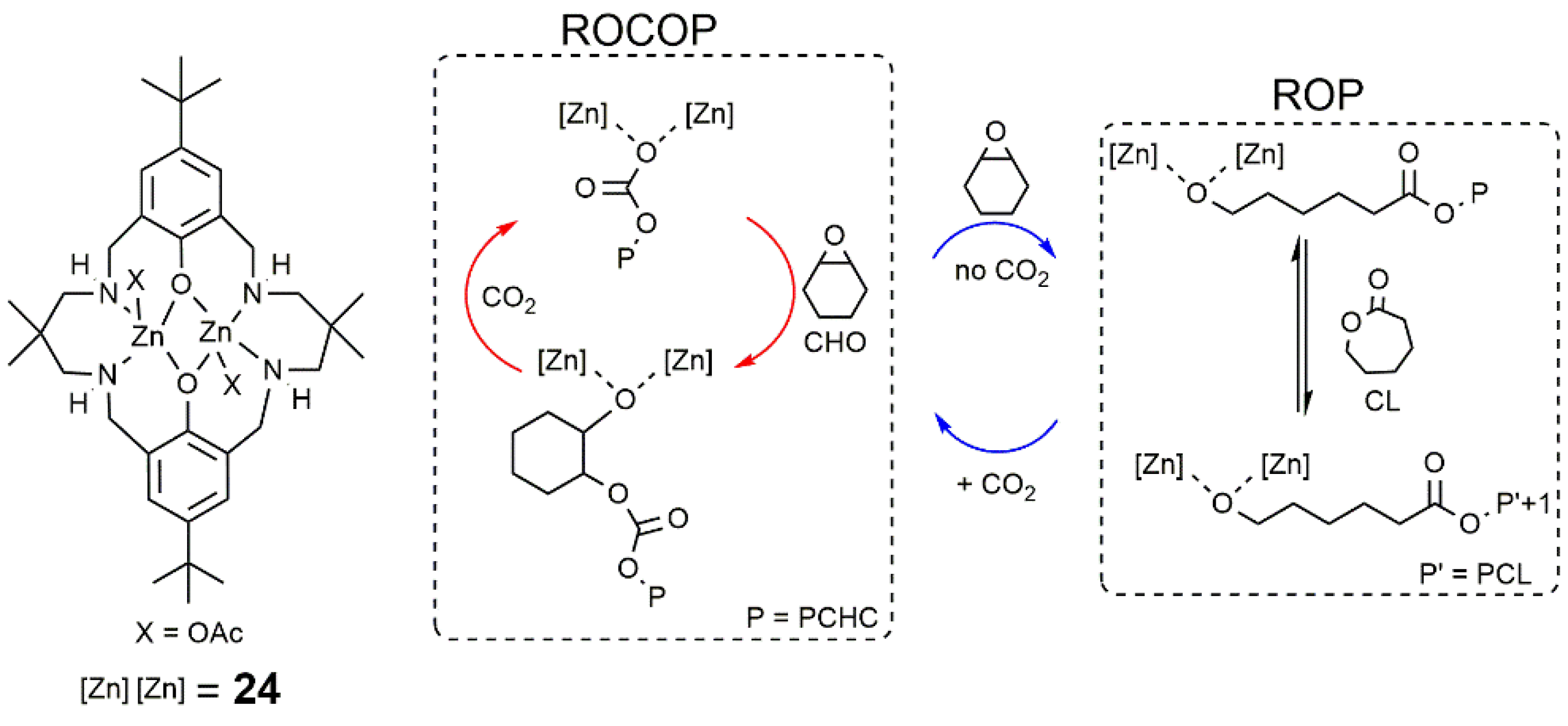 Catalysts 11 00961 sch005 550