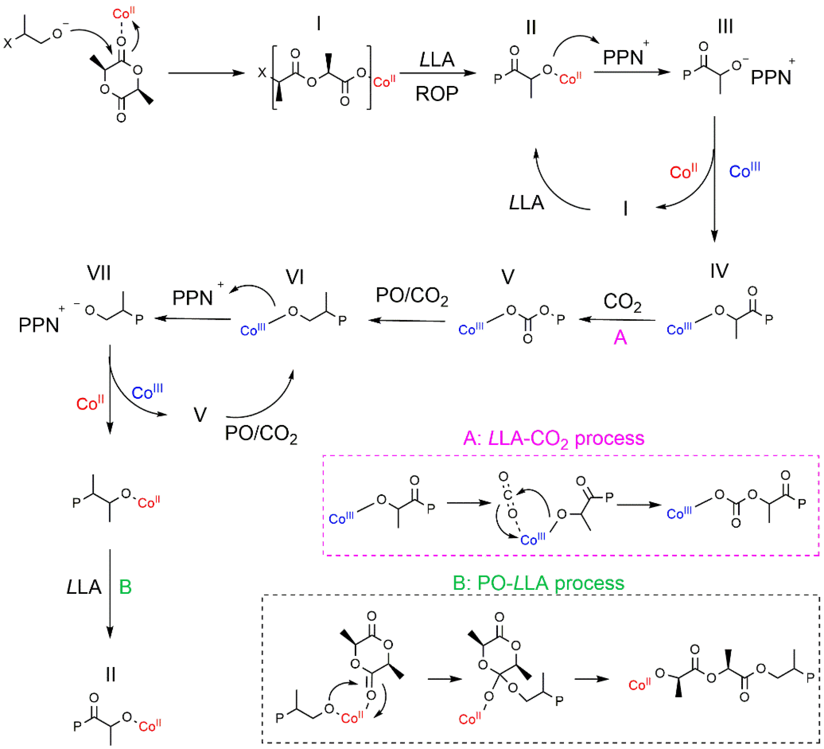 Catalysts 11 00961 sch008 550