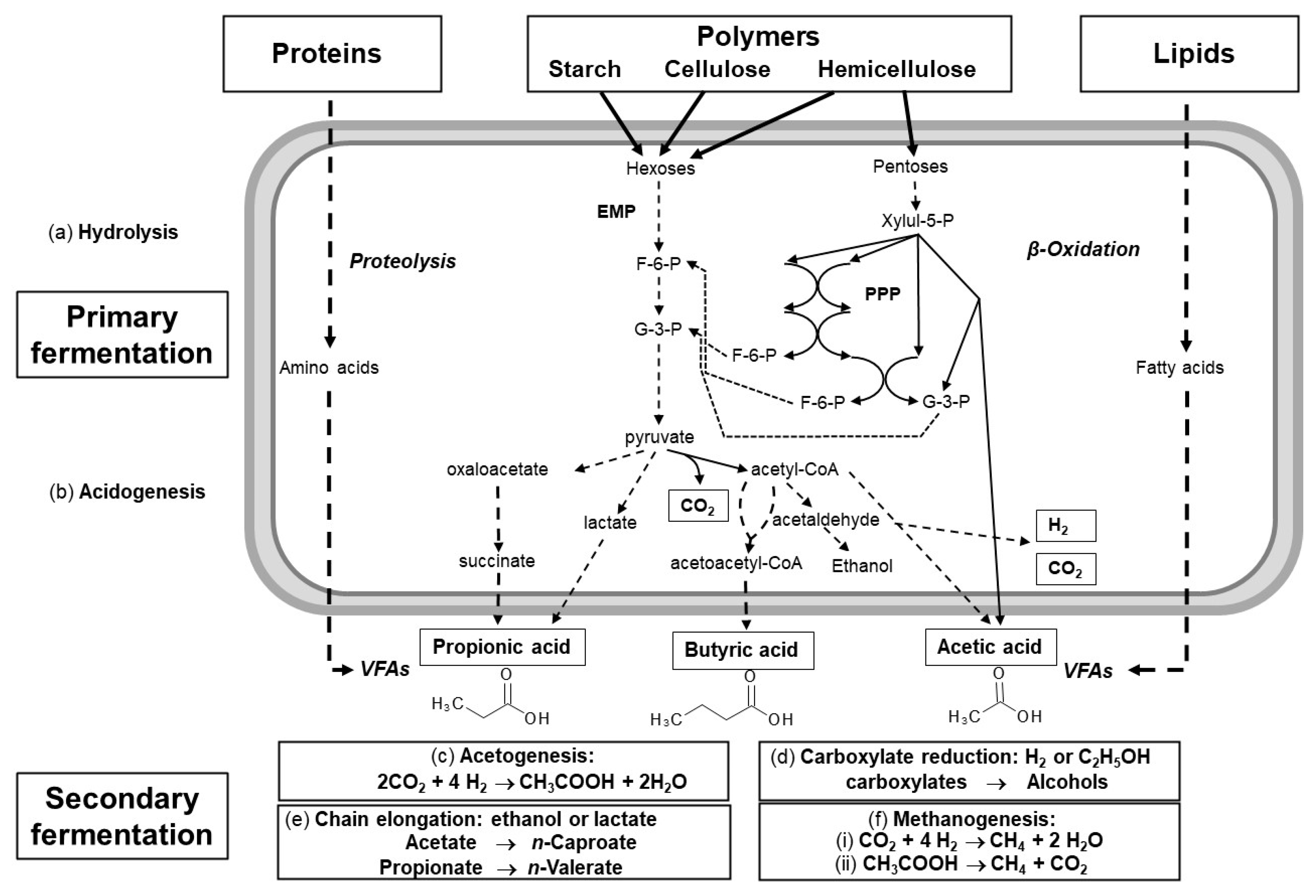 Catalysts 11 00964 g001 Catalysts 11 00964 g001