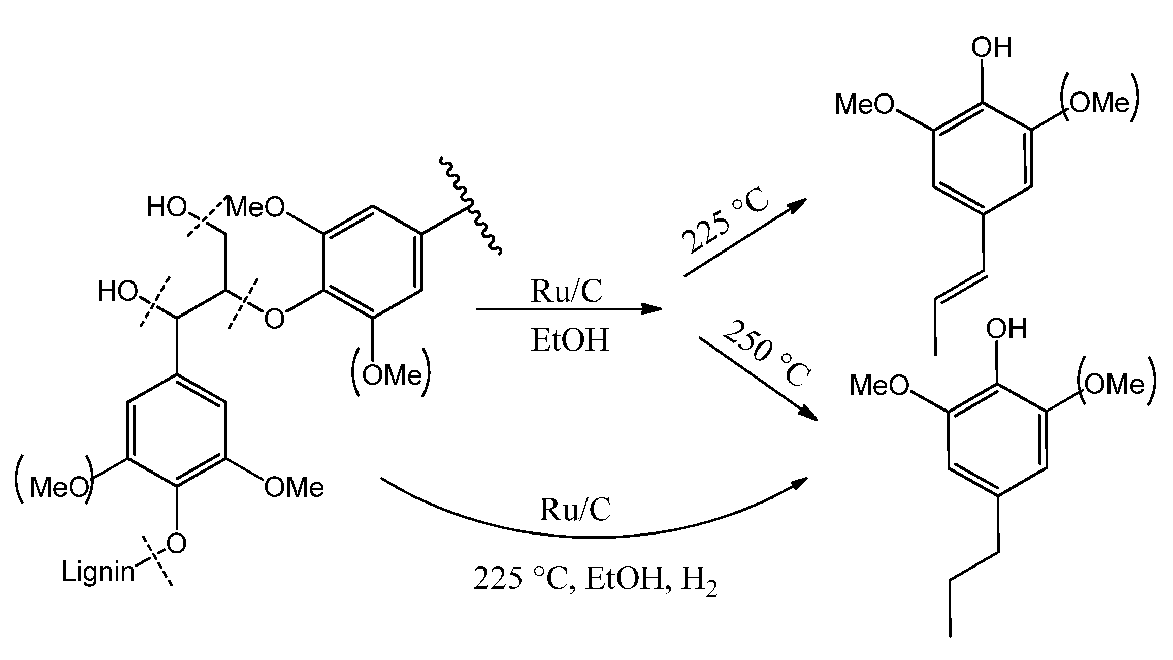 Catalysts 11 00970 g002
