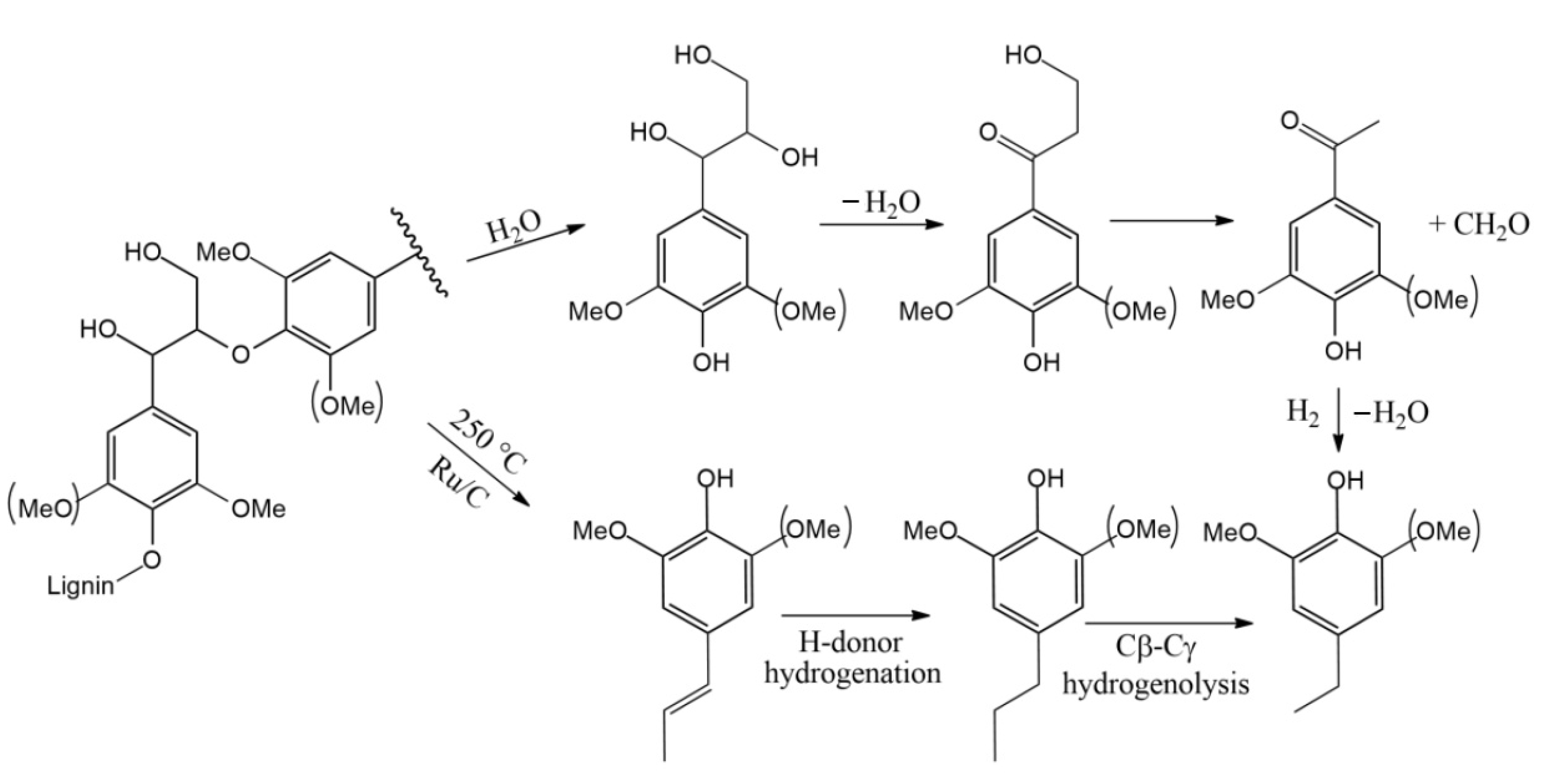 Catalysts 11 00970 g004