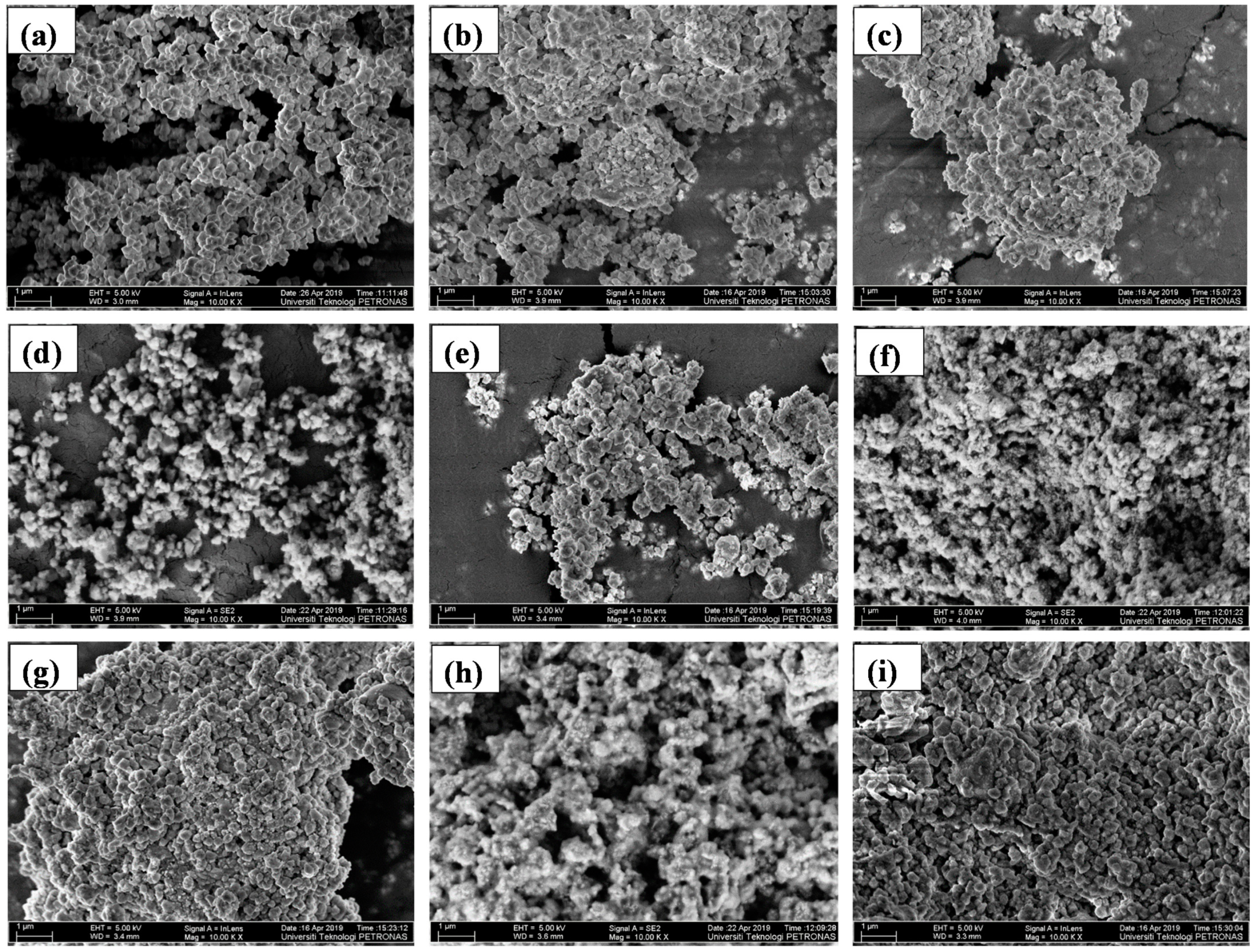 Catalysts 11 00977 g002
