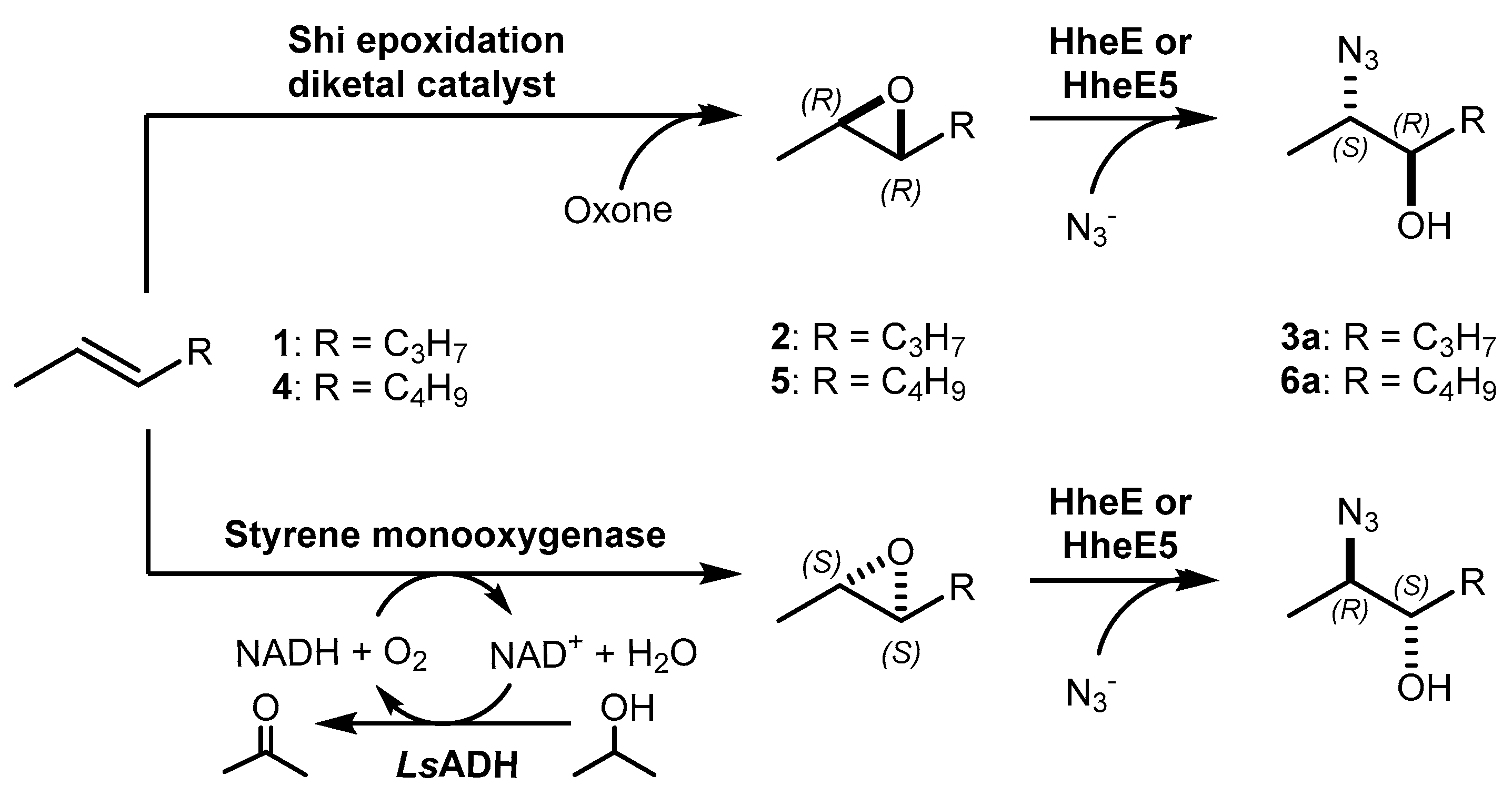 Catalysts 11 00982 sch001 550