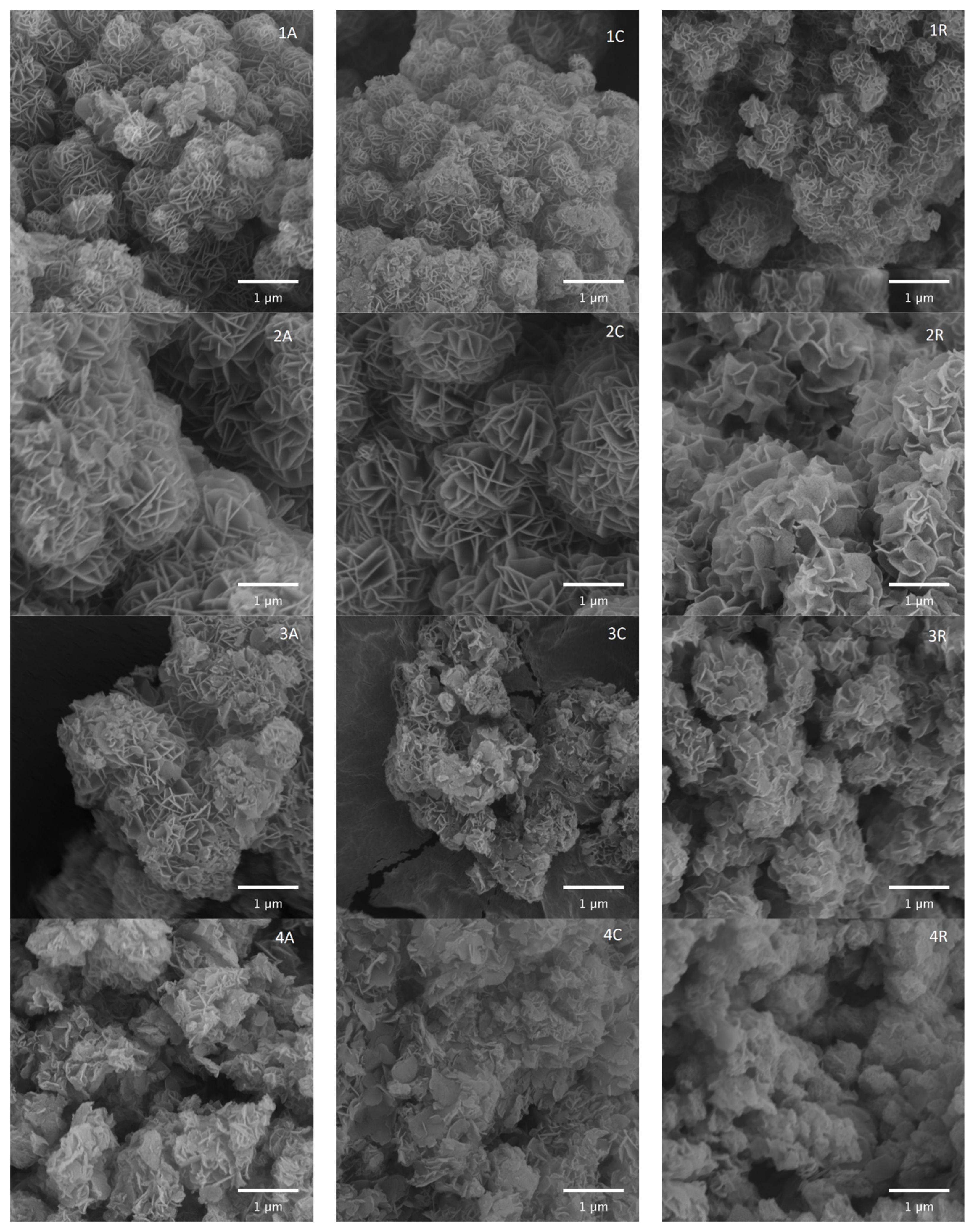 Catalysts 11 00992 g002