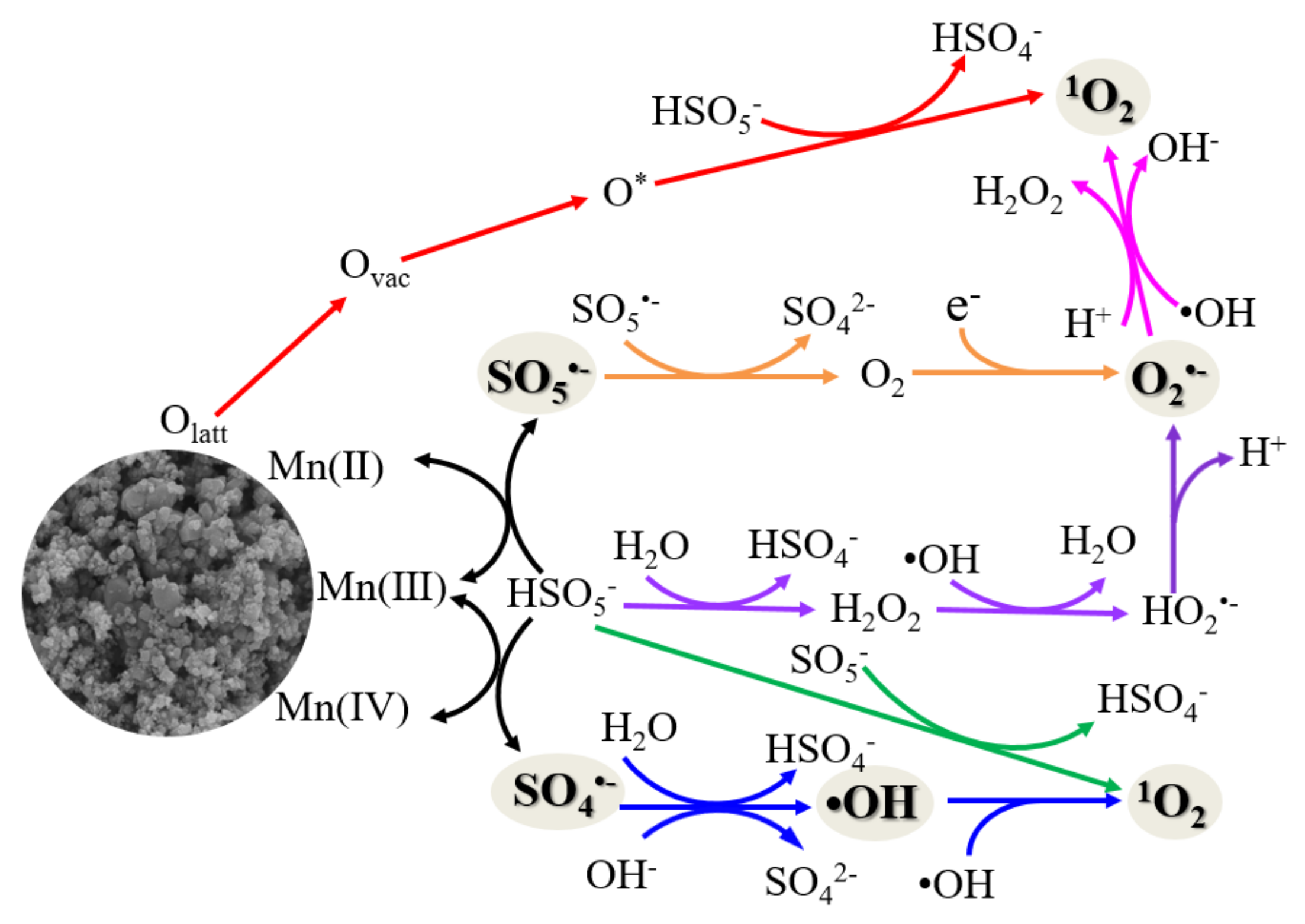 Catalysts 11 00993 g008 550