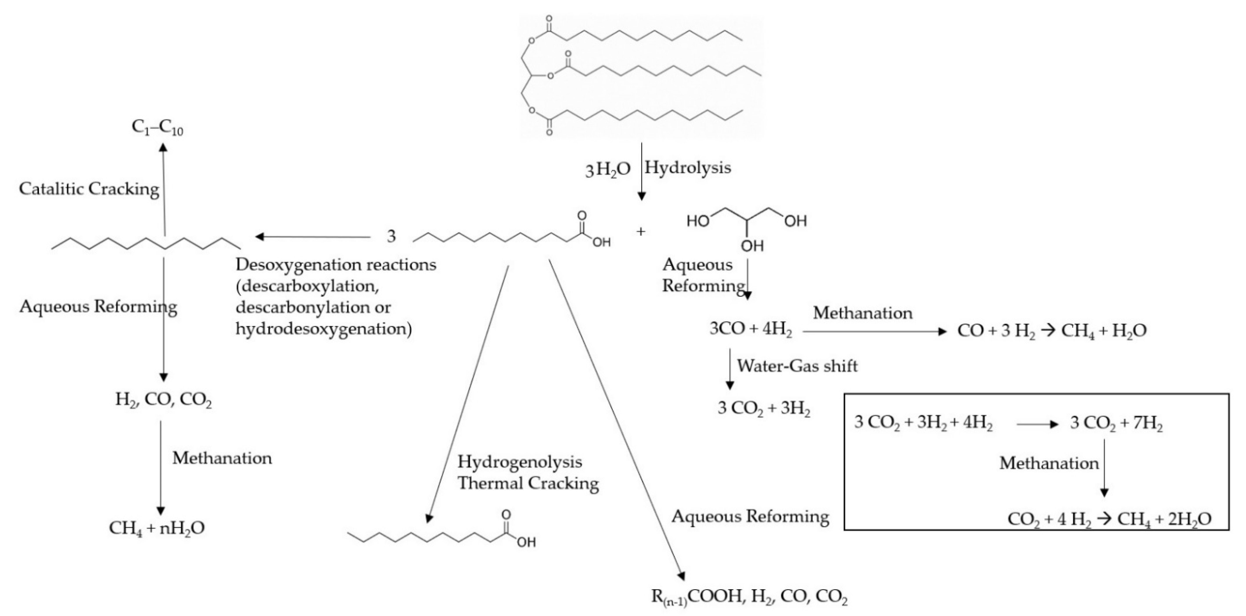 Catalysts 11 00995 g011 550