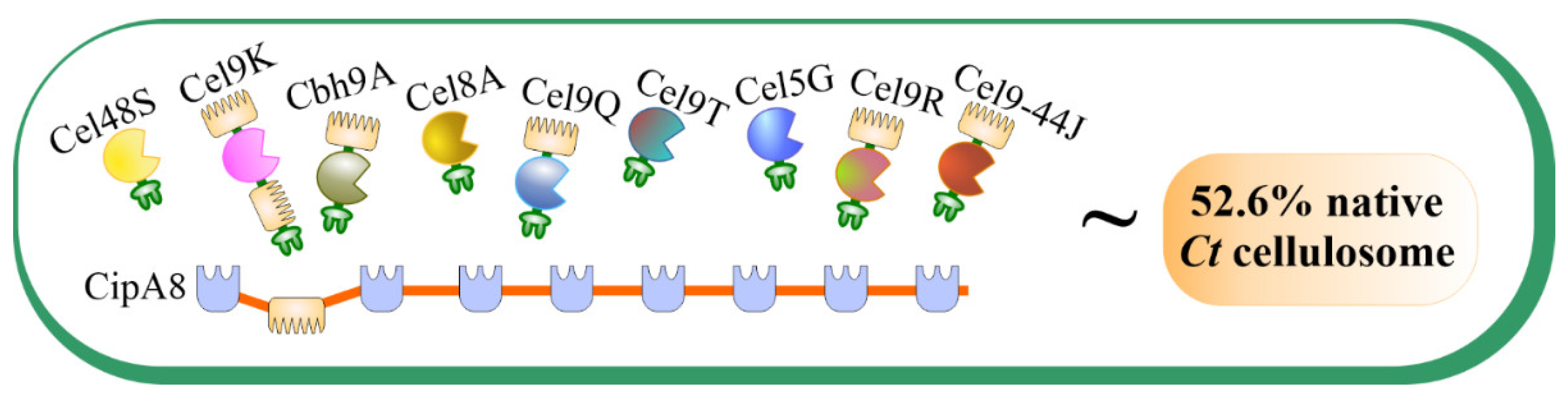 Catalysts 11 00996 g001