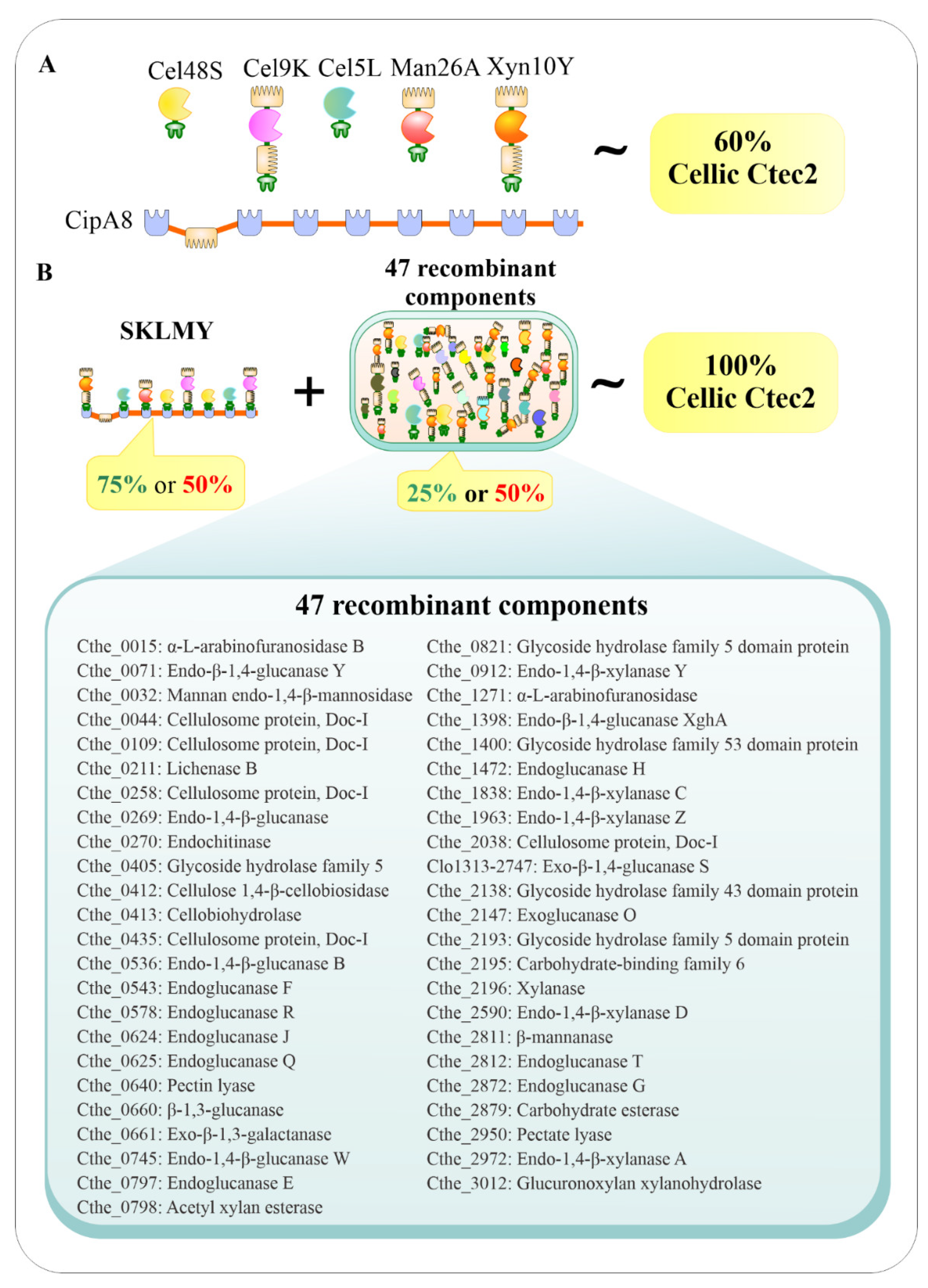 Catalysts 11 00996 g002