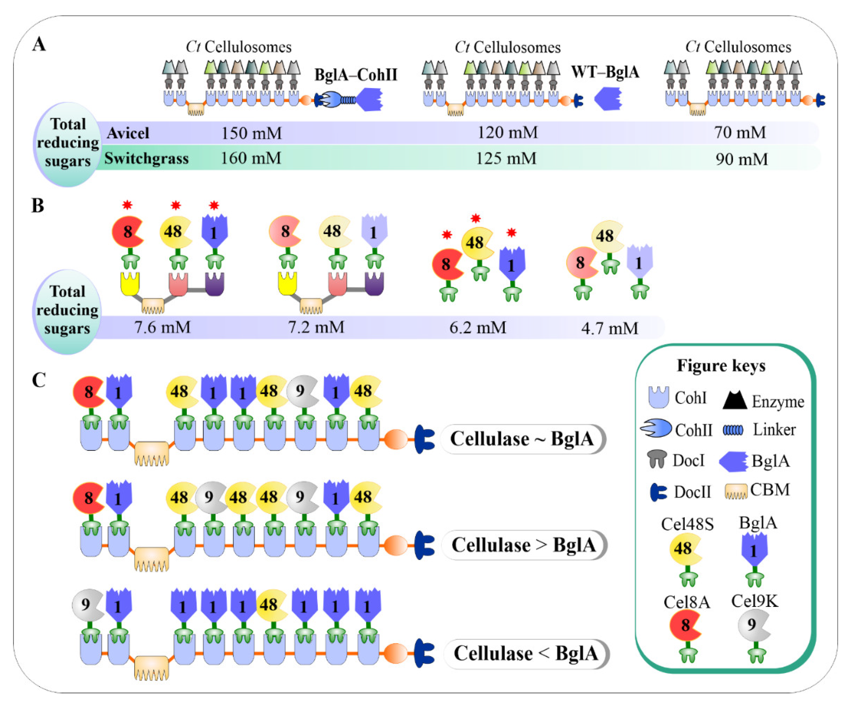 Catalysts 11 00996 g004