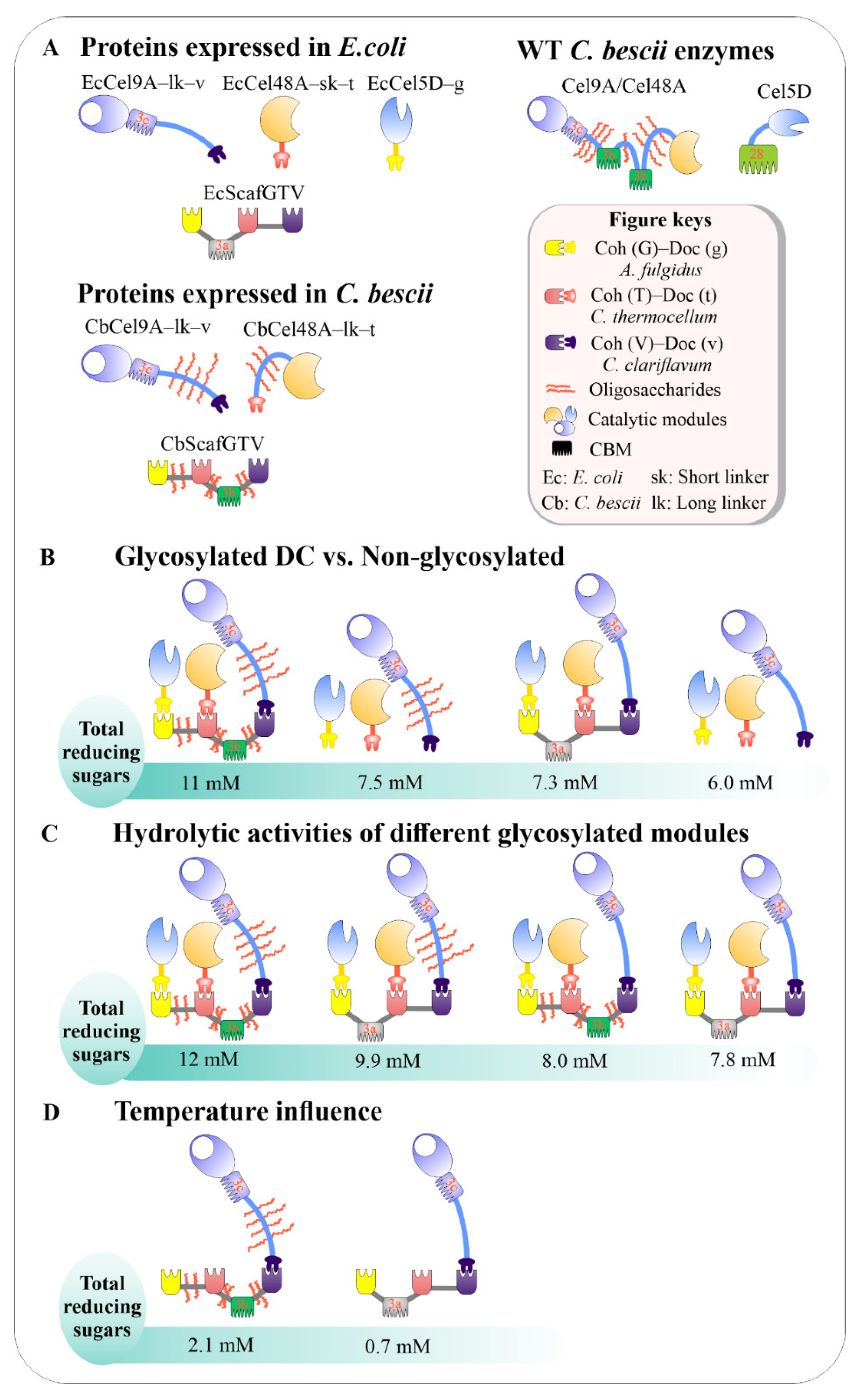 Catalysts 11 00996 g008