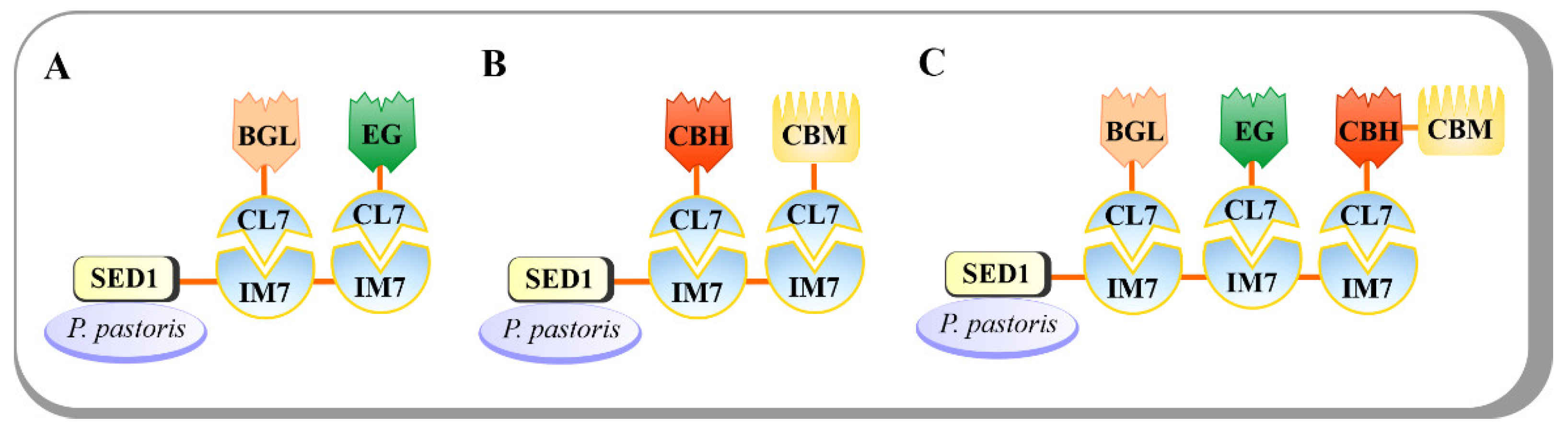 Catalysts 11 00996 g011