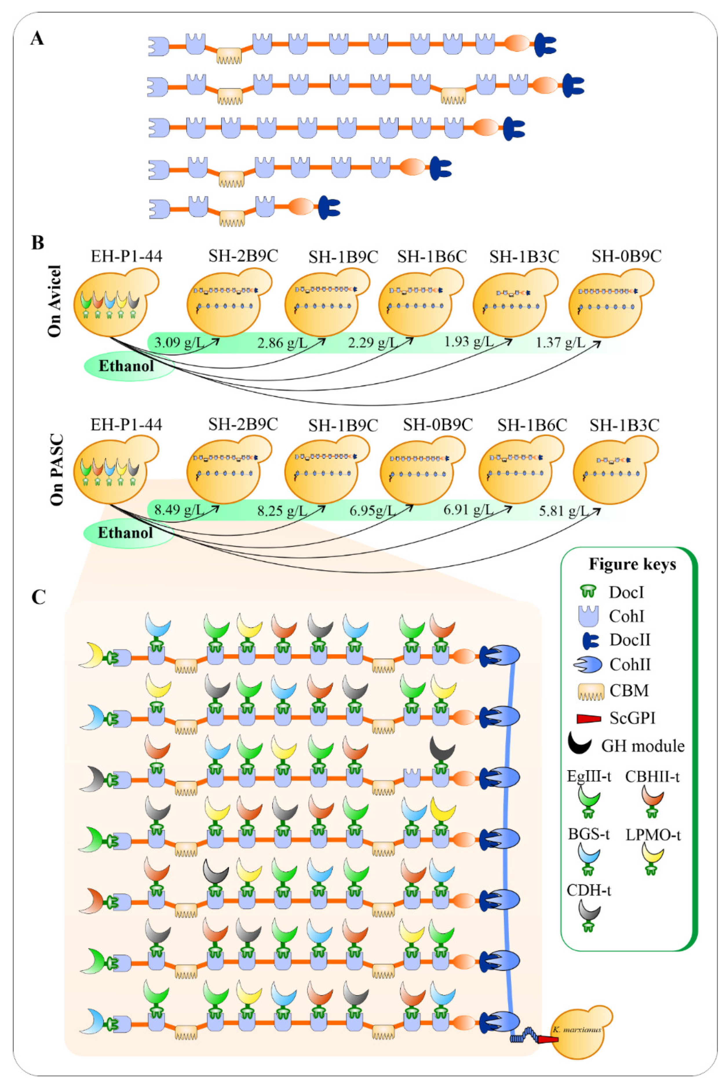 Catalysts 11 00996 g012