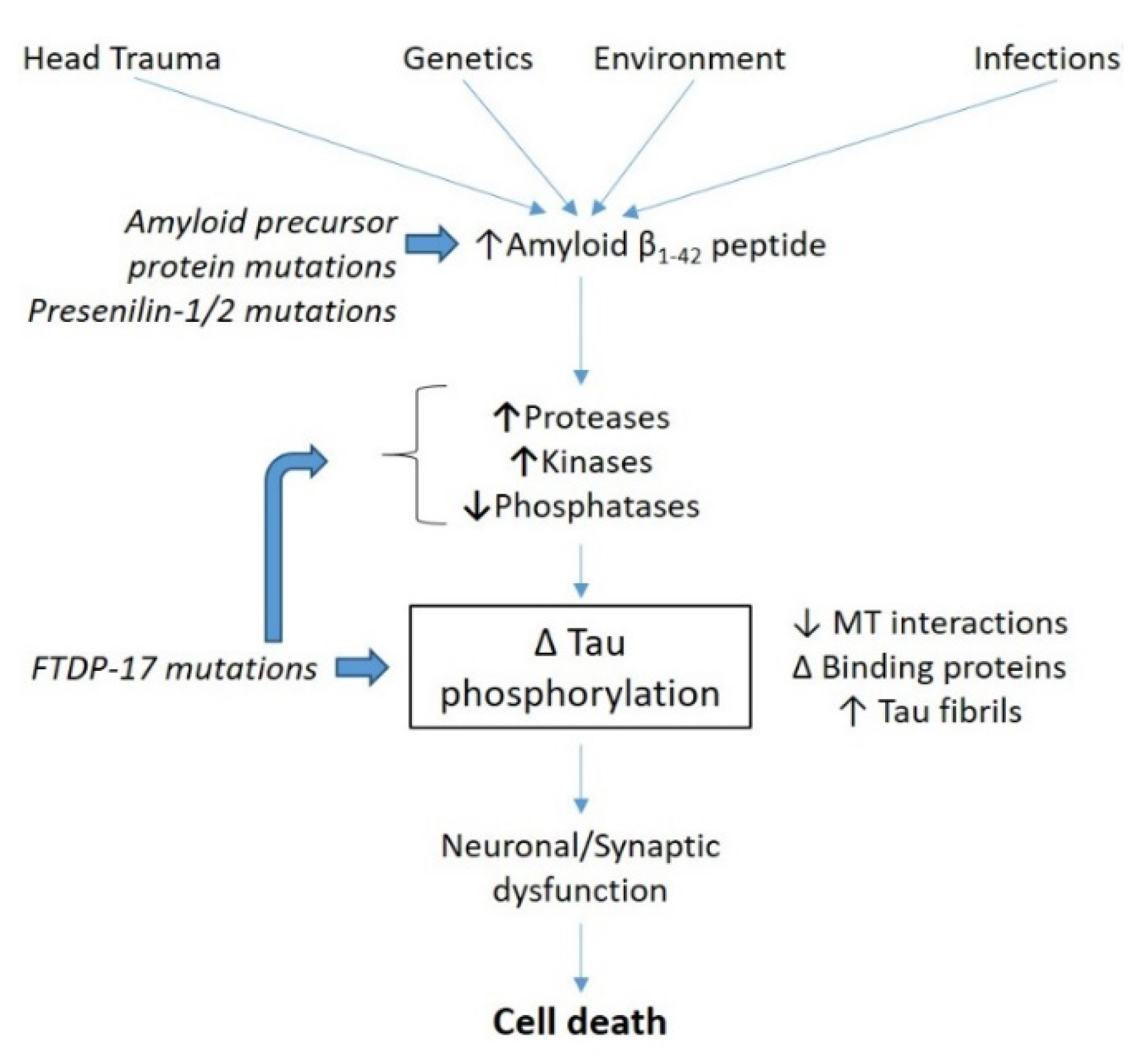 Catalysts 11 01007 g001 550