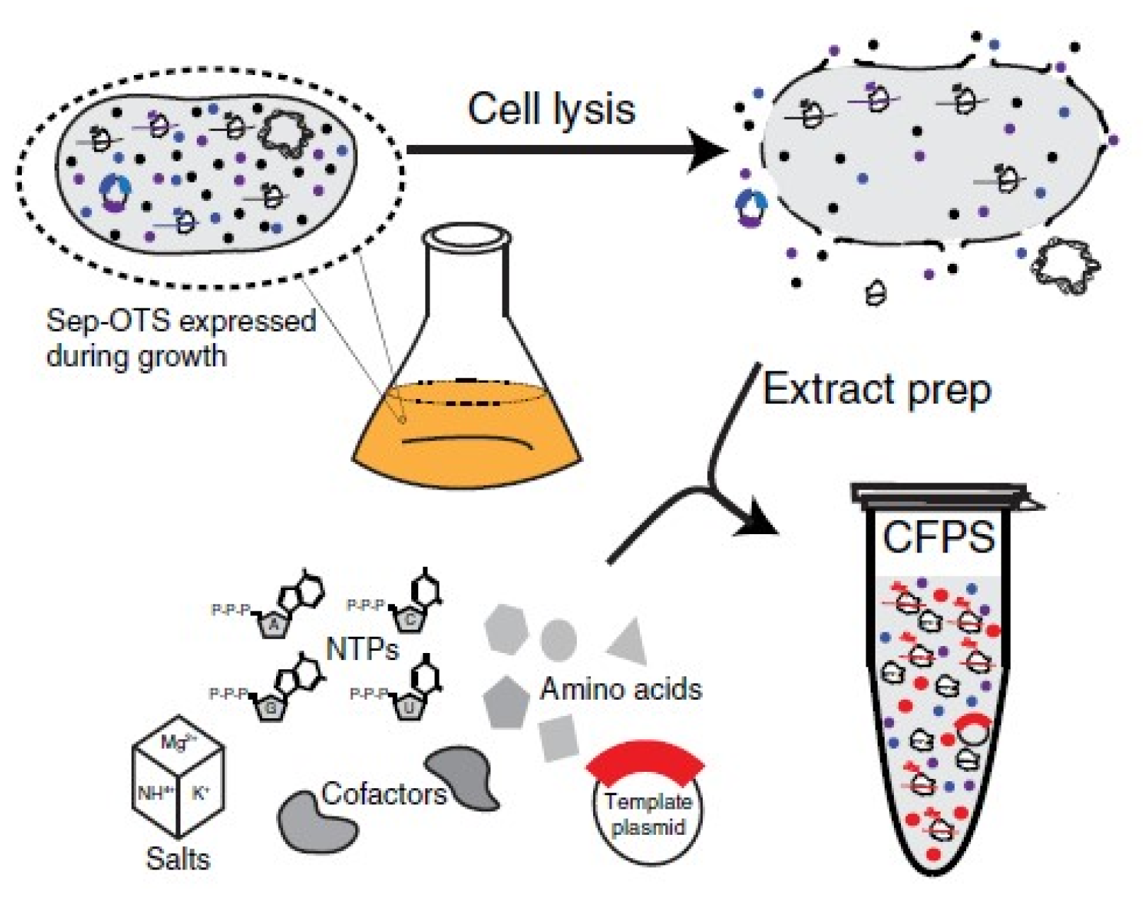 Catalysts 11 01007 g002 550