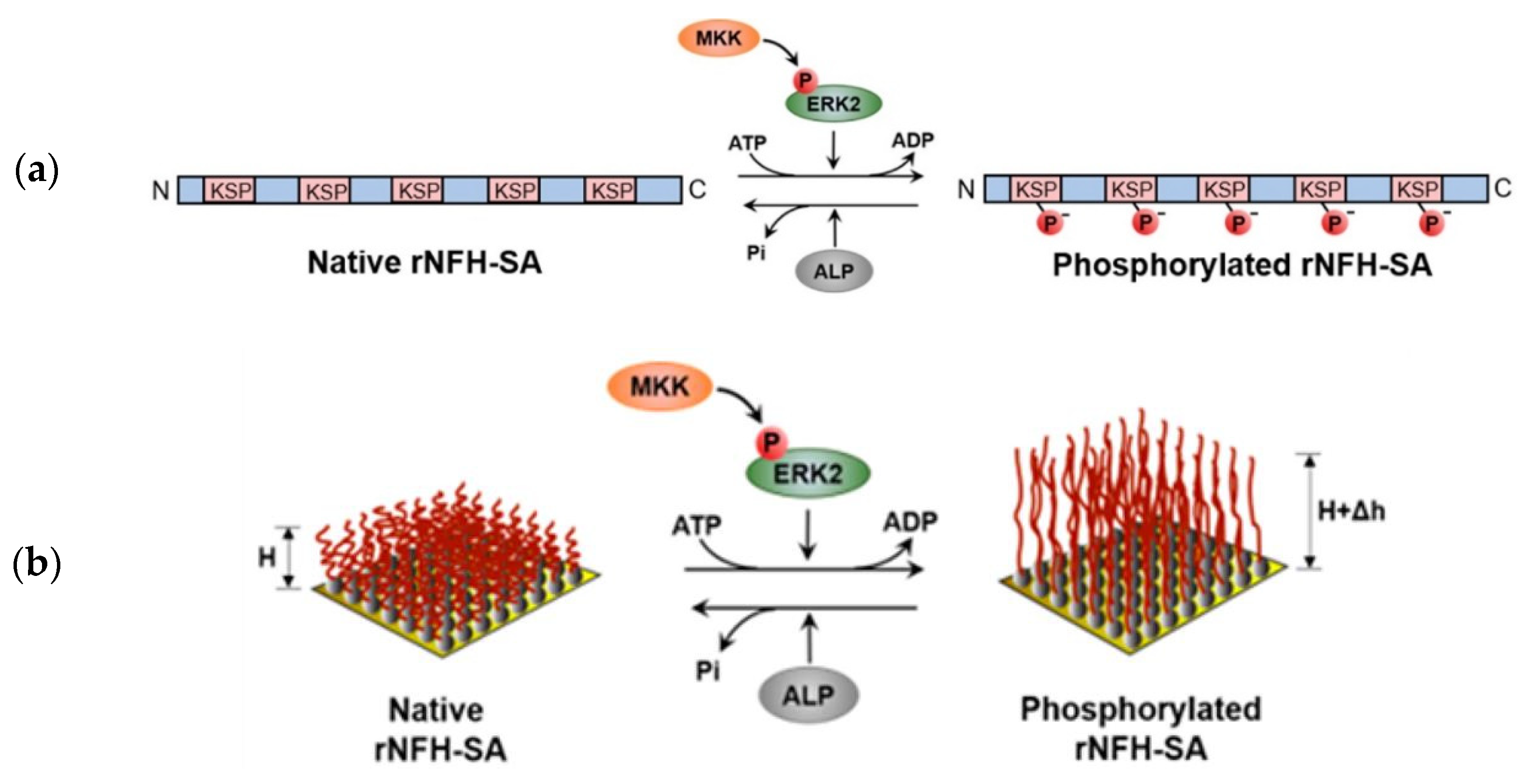 Catalysts 11 01007 g003 550