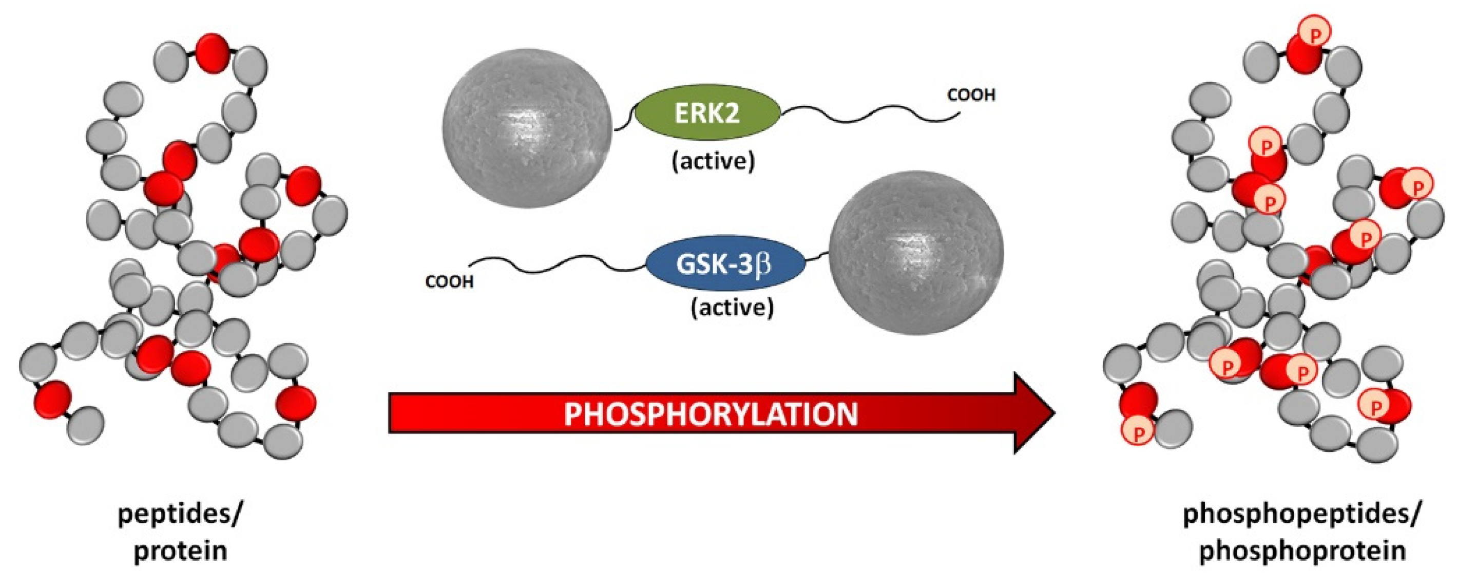 Catalysts 11 01007 g005 550