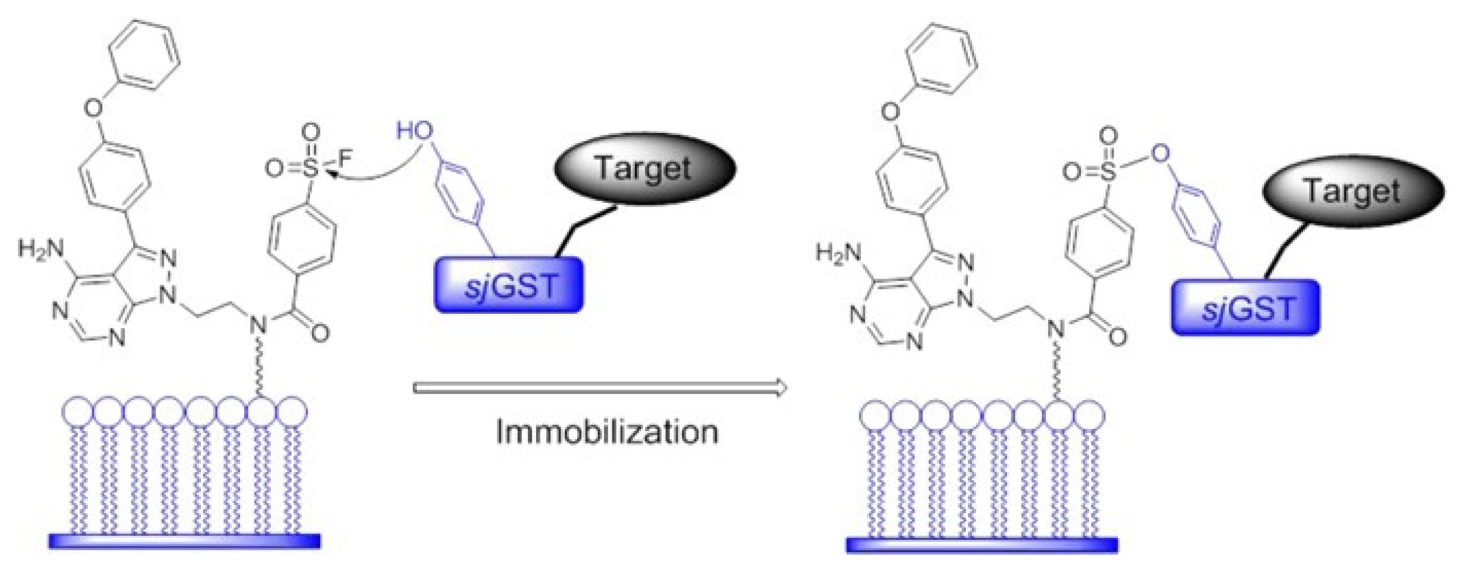 Catalysts 11 01007 g006 550