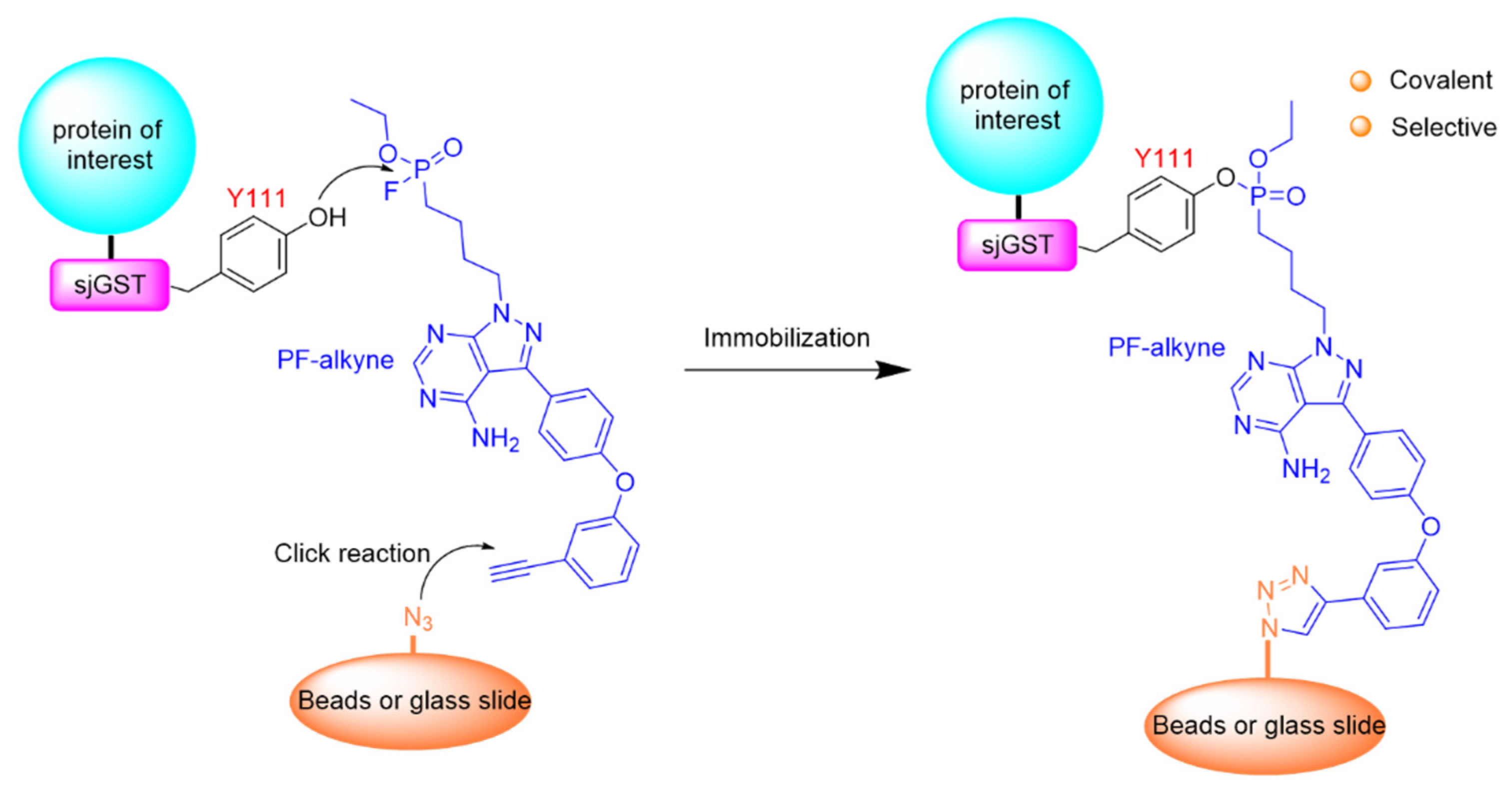 Catalysts 11 01007 g007 550
